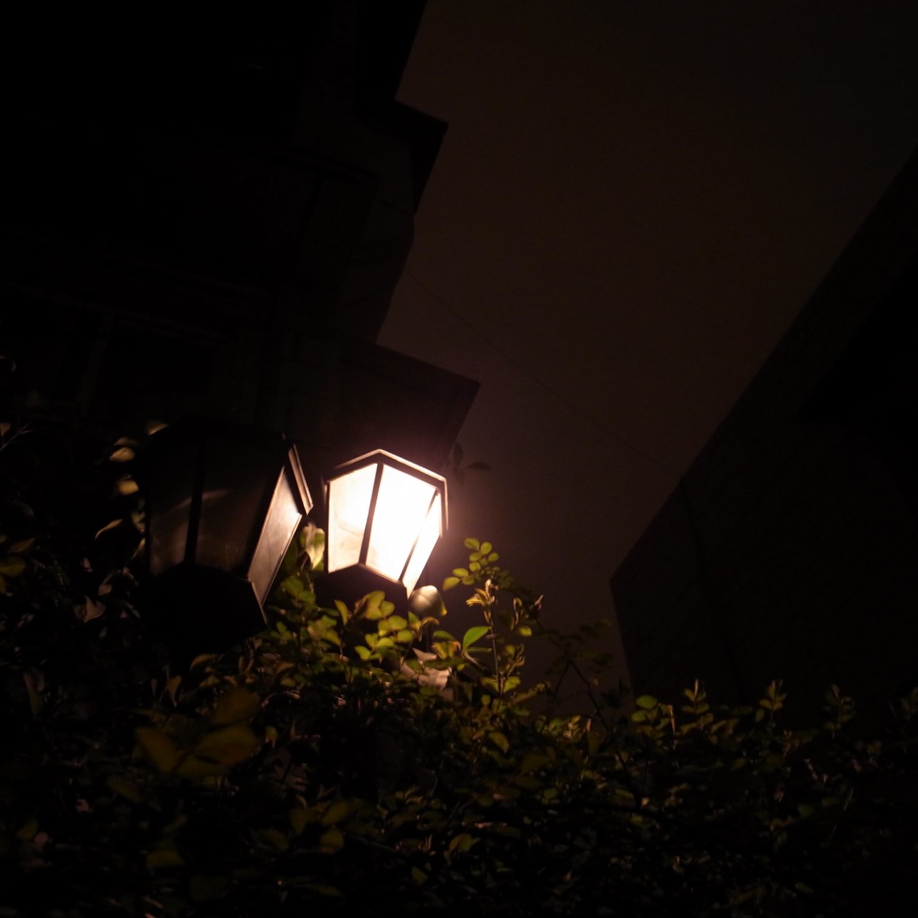 RICOH GR DIGITAL 3