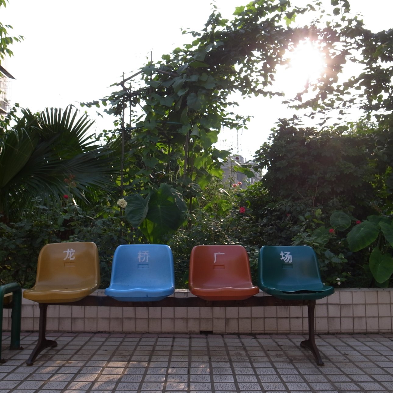 RICOH GR DIGITAL 3