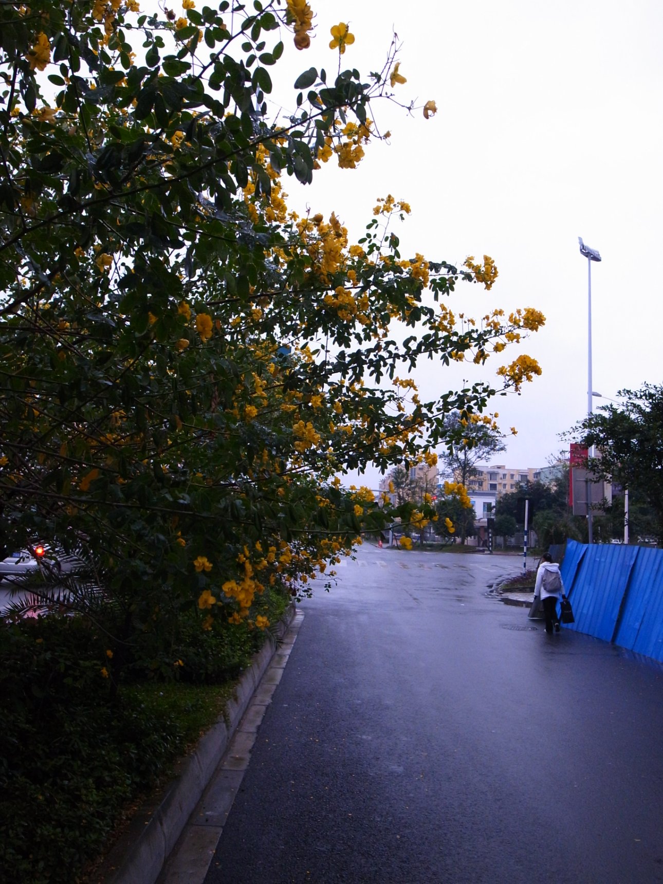 RICOH GR DIGITAL 3