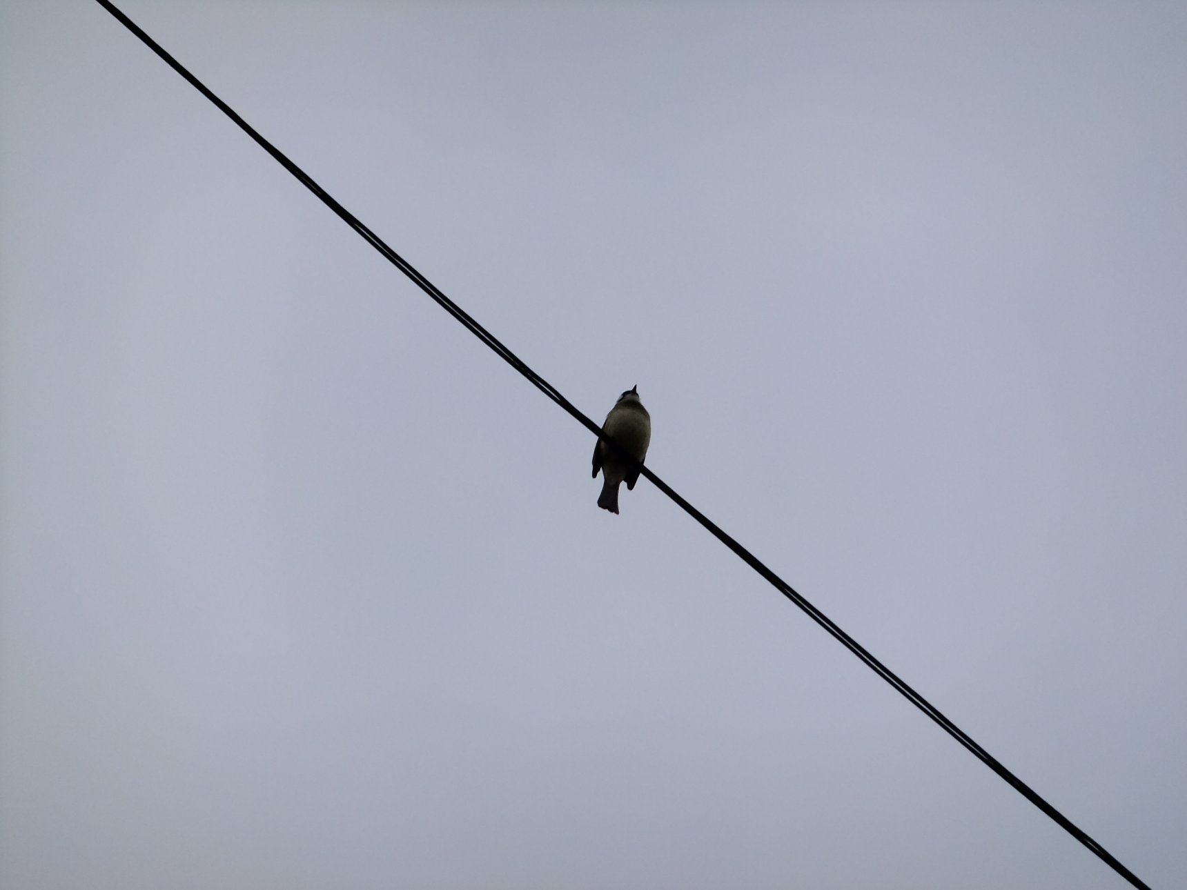 FUJIFILM FinePix F305EXR
