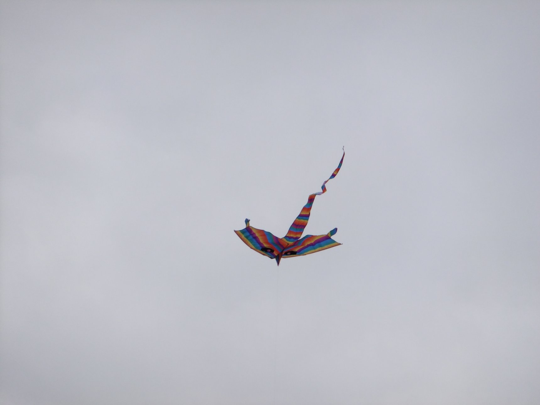 FUJIFILM FinePix F305EXR