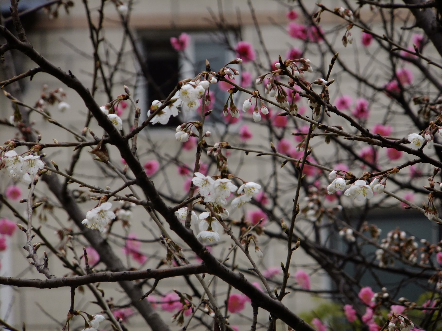 FUJIFILM FinePix F305EXR
