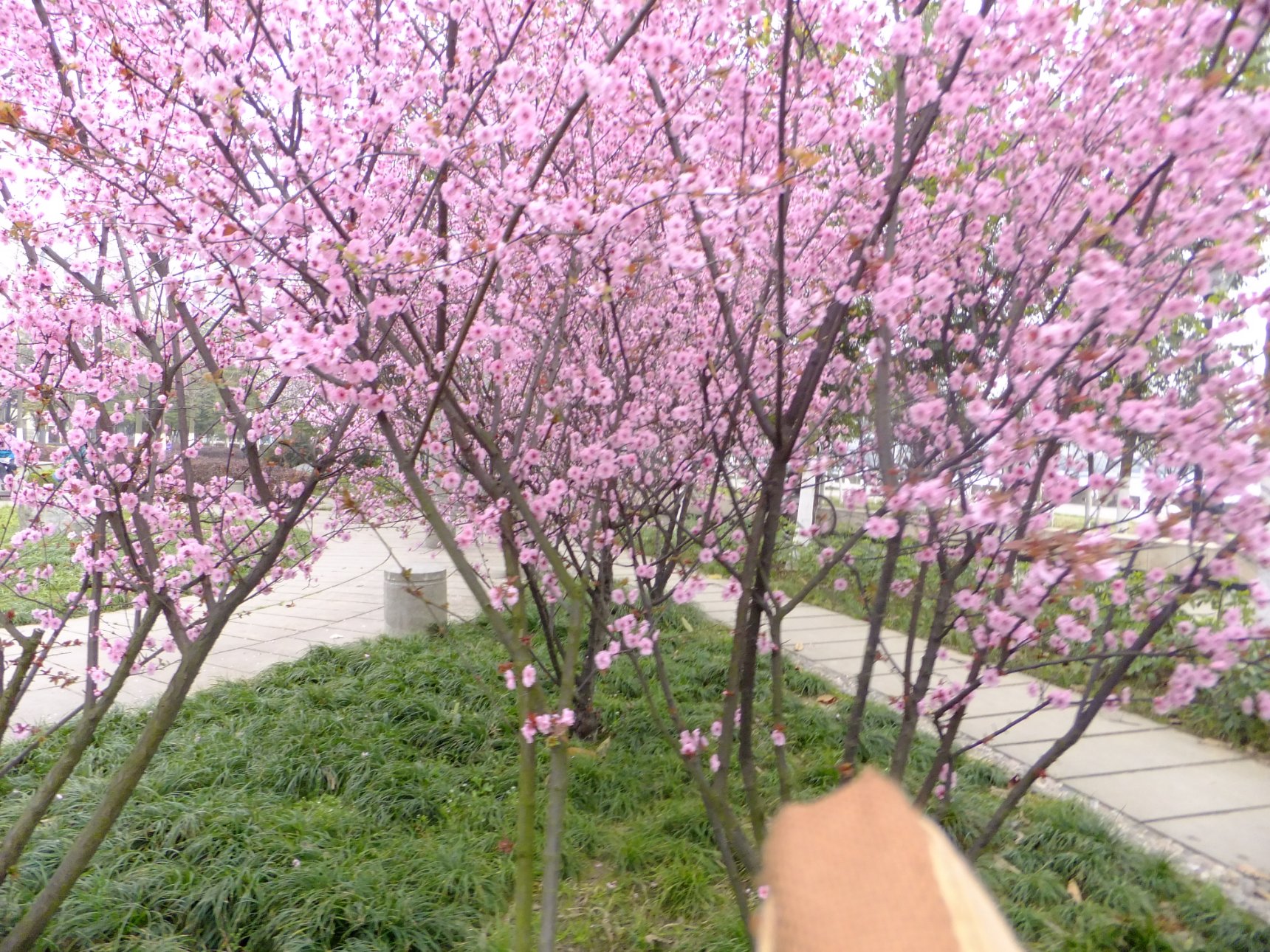 FUJIFILM FinePix F305EXR
