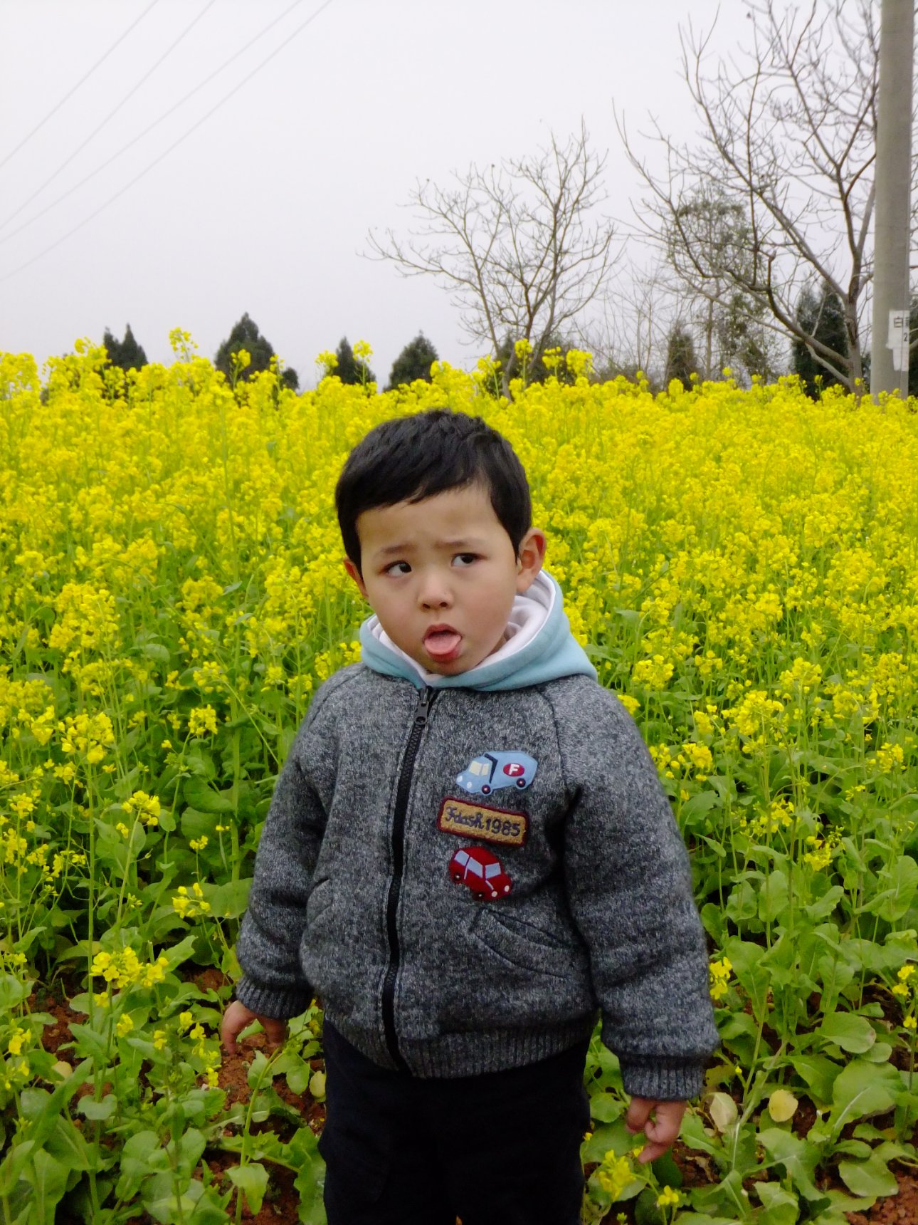 FUJIFILM FinePix F305EXR