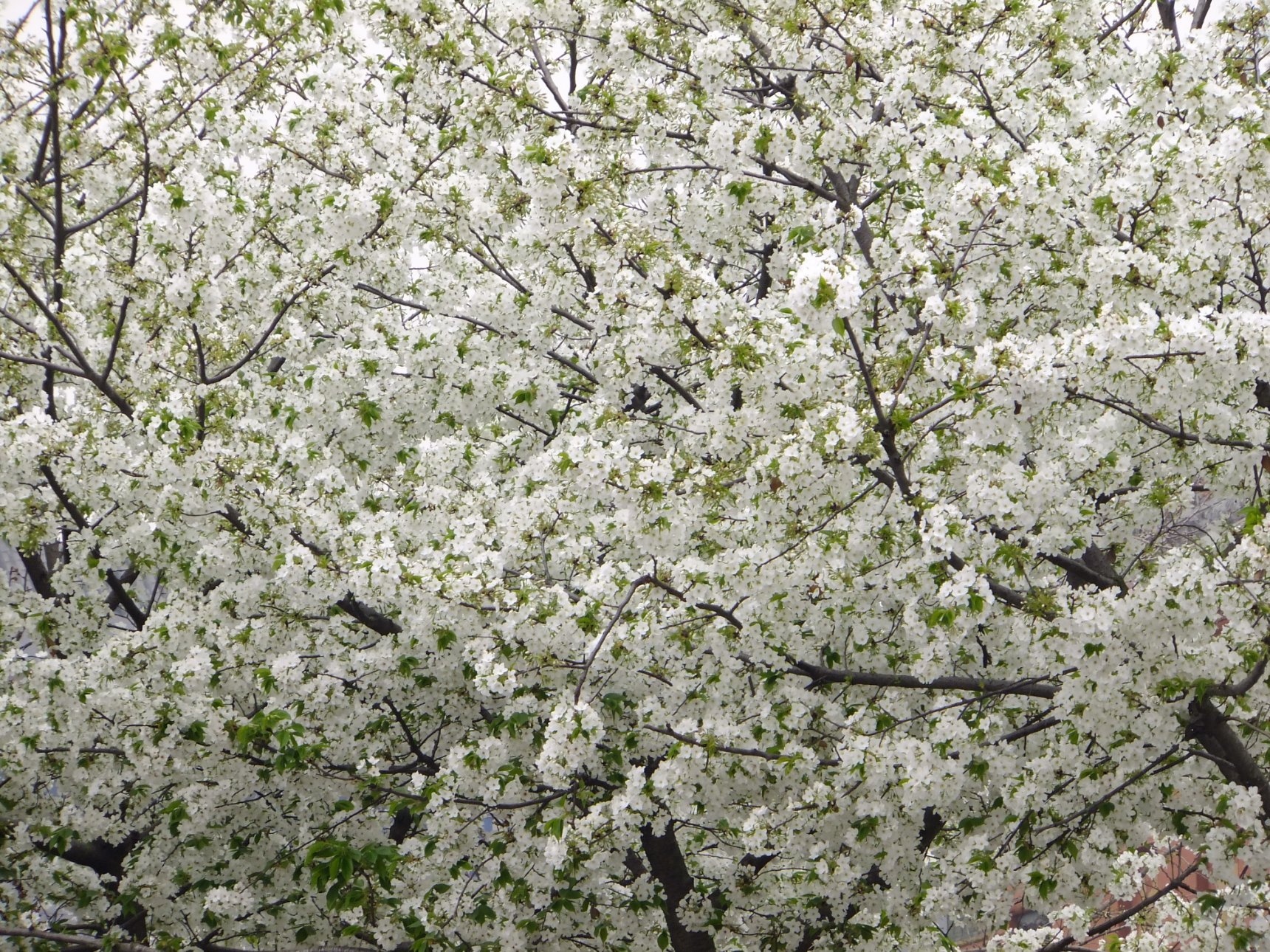 FUJIFILM FinePix F305EXR