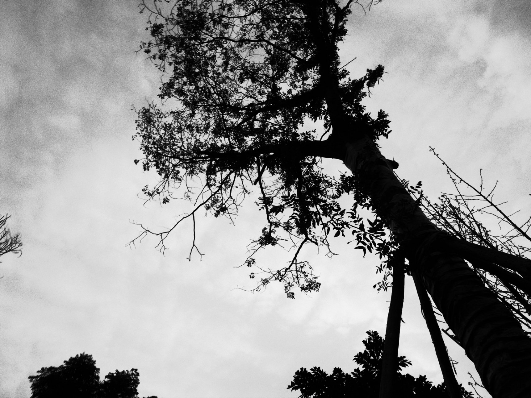RICOH GR DIGITAL 3