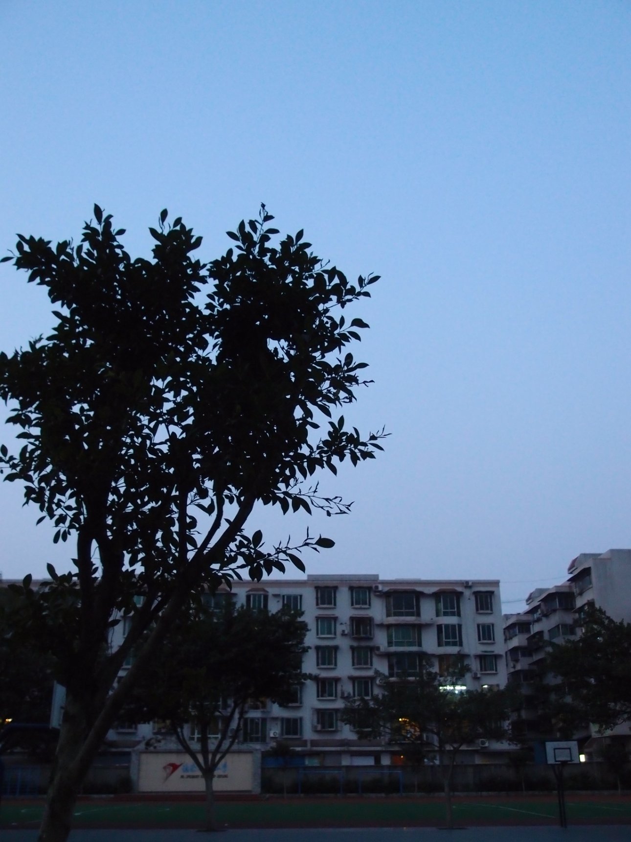OLYMPUS IMAGING CORP. XZ-1