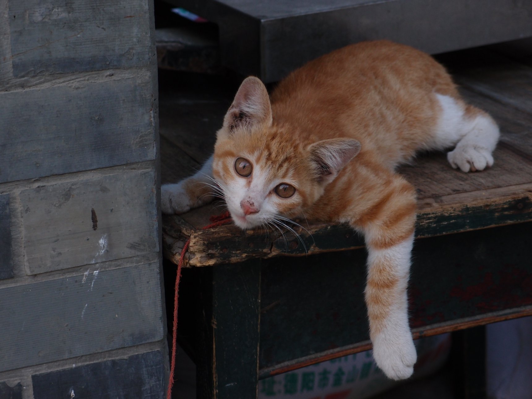 OLYMPUS IMAGING CORP. XZ-1