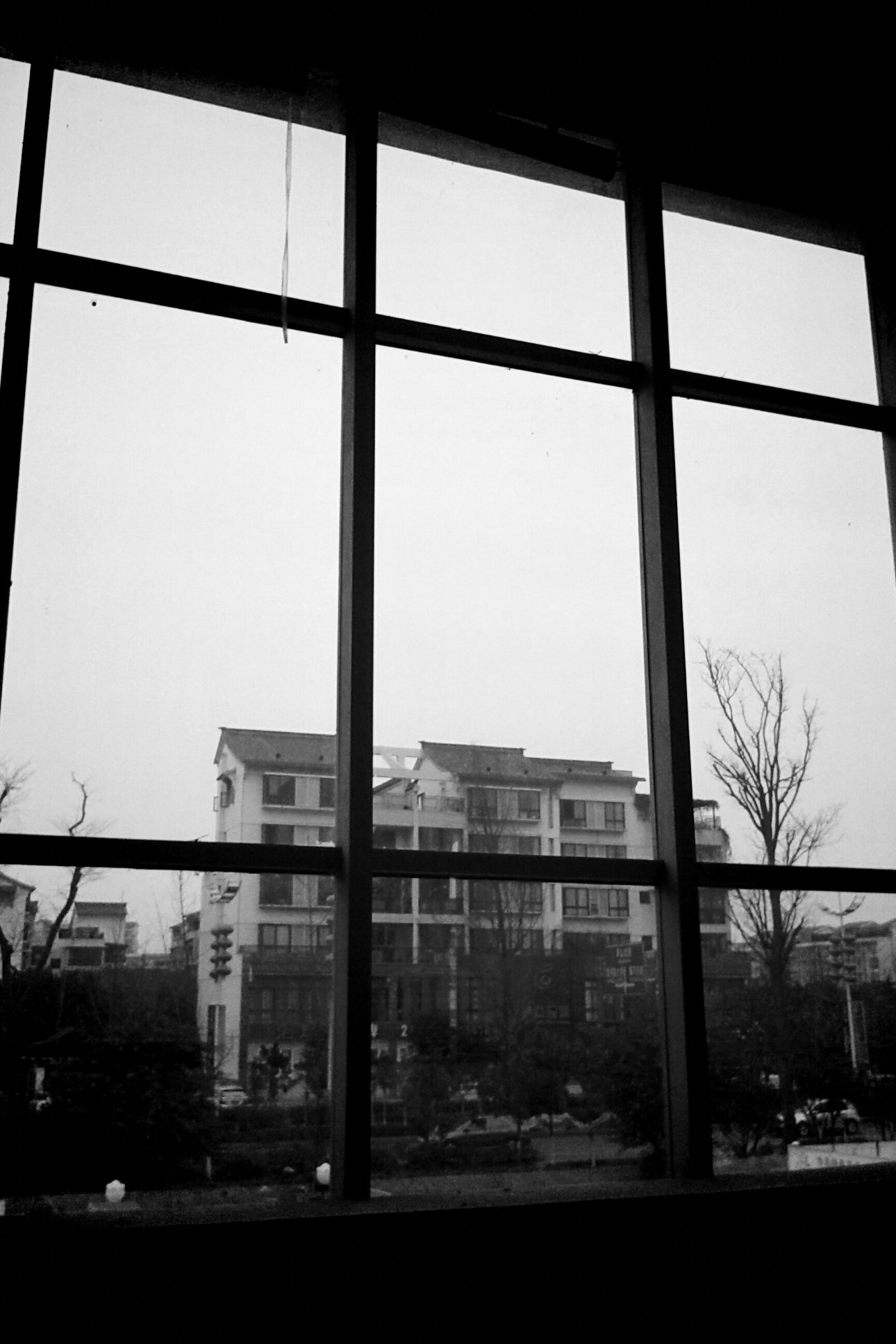 Vignette Vignette for Android