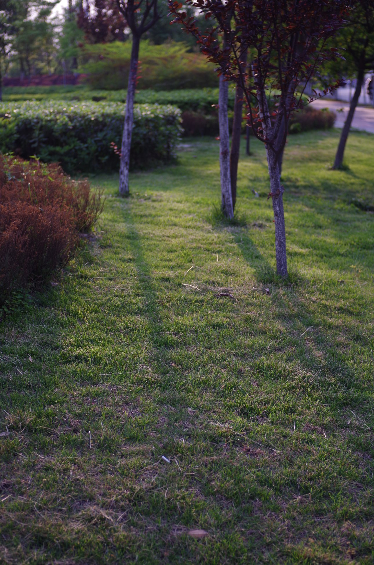 PENTAX PENTAX K-01