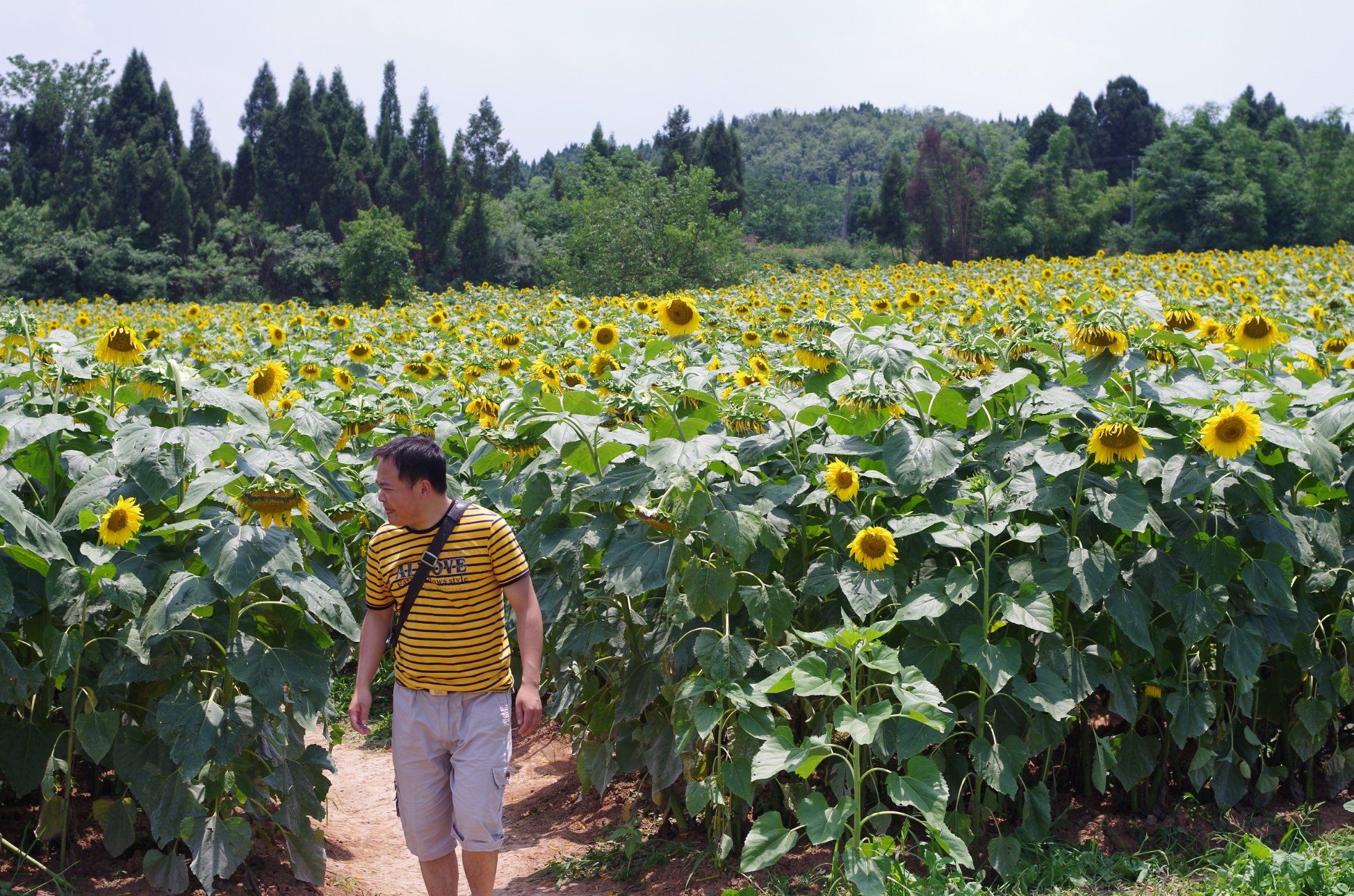 PENTAX PENTAX K-01