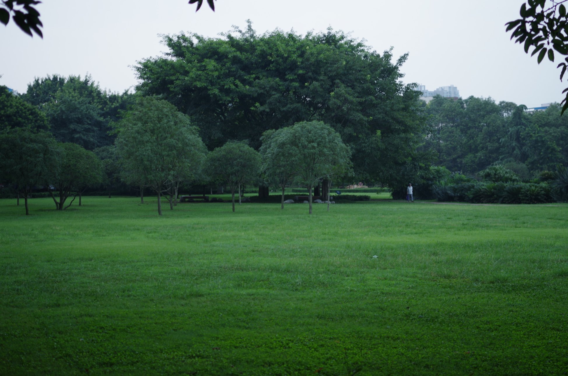 PENTAX PENTAX K-01