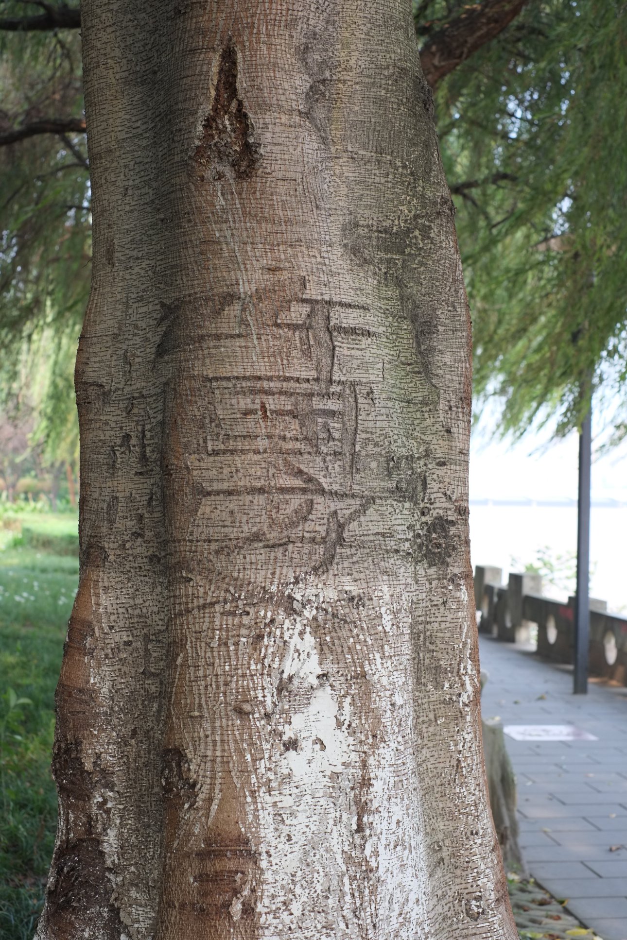 FUJIFILM X-E1 XF35mmF1.4 R