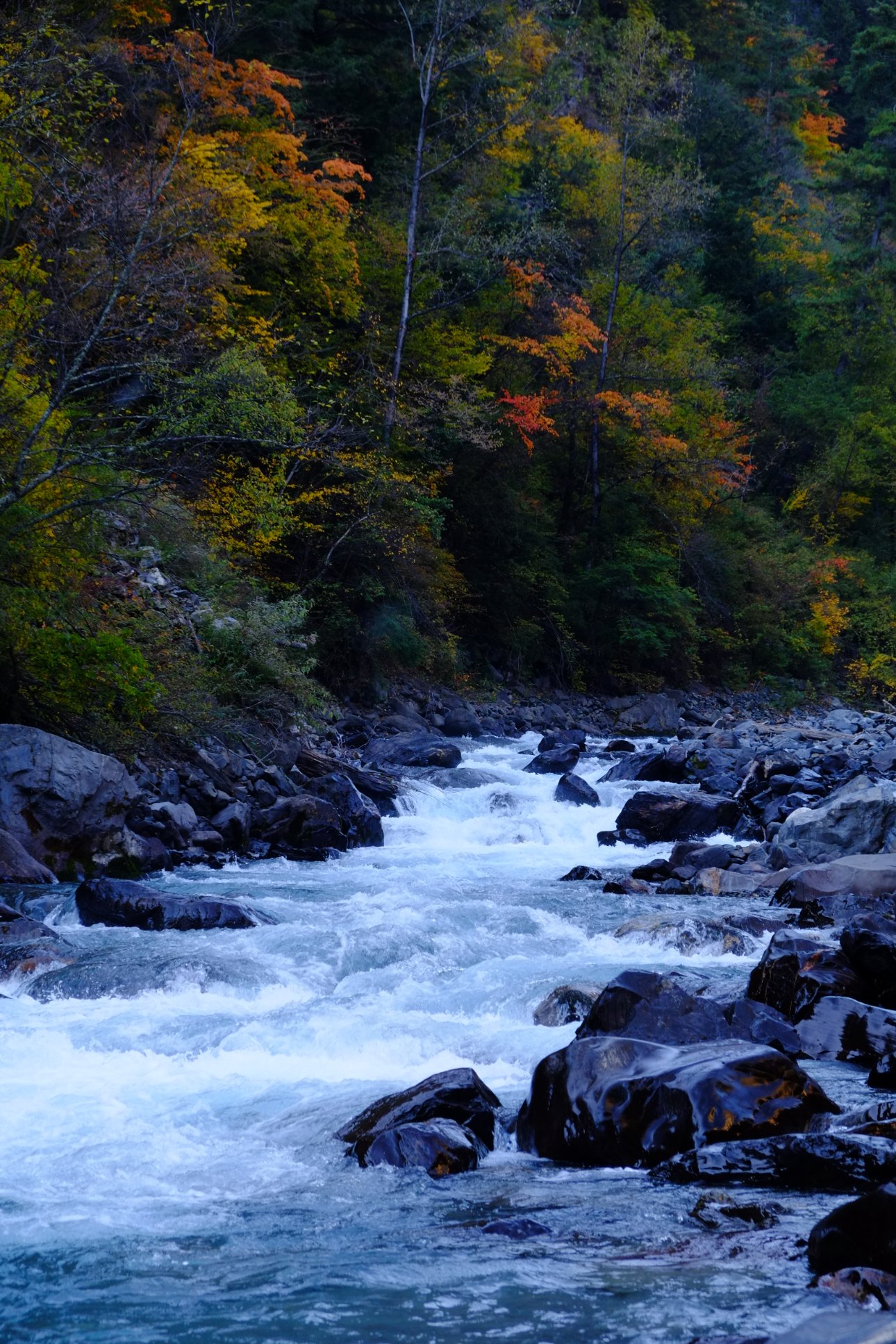 FUJIFILM X-E1 XF18-55mmF2.8-4 R LM OIS