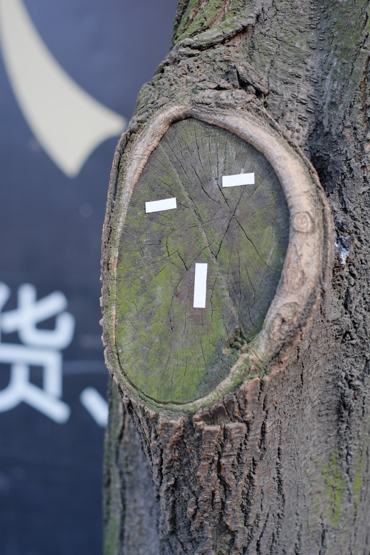 FUJIFILM X-E1 XF35mmF1.4 R