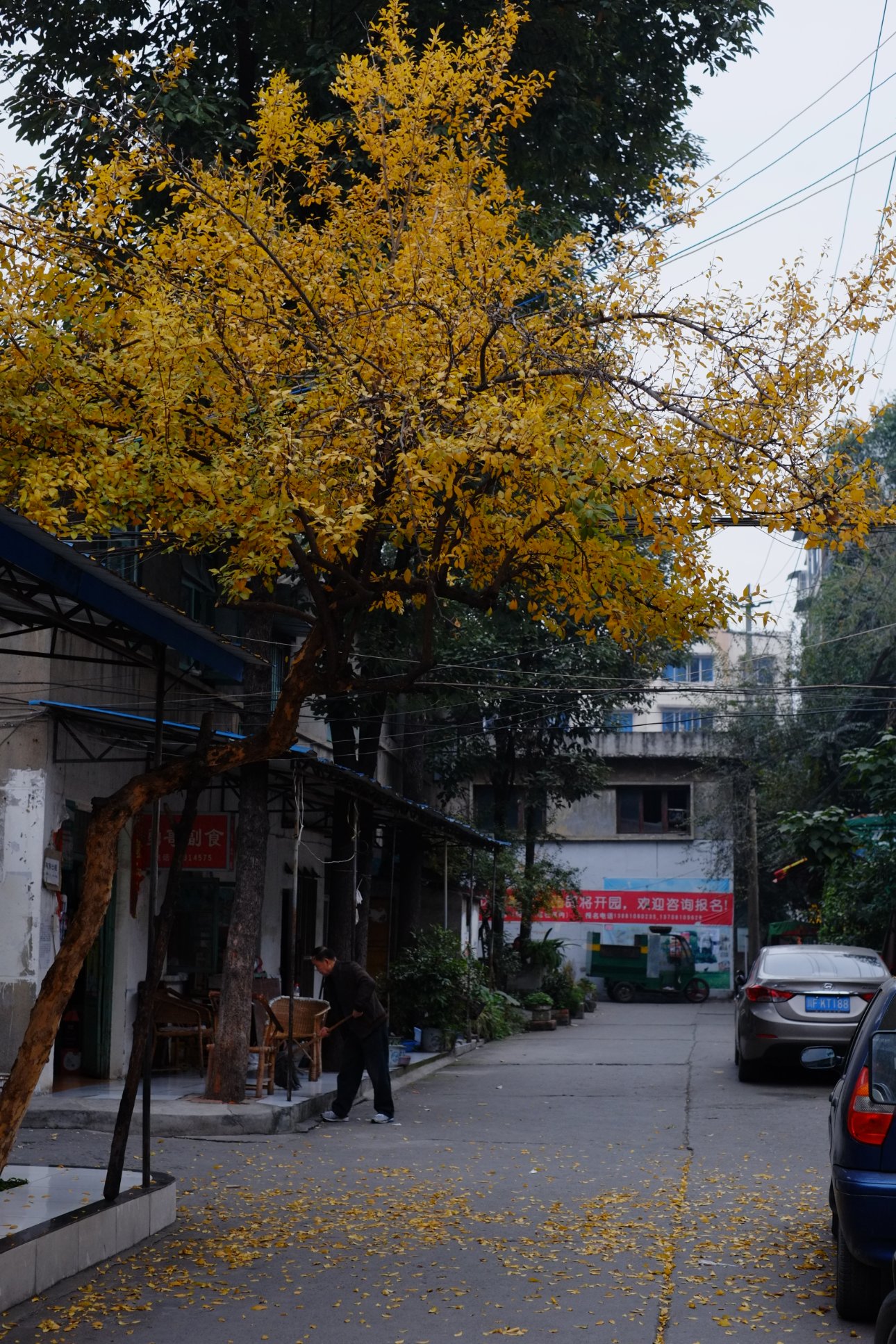 FUJIFILM X-E1 XF35mmF1.4 R