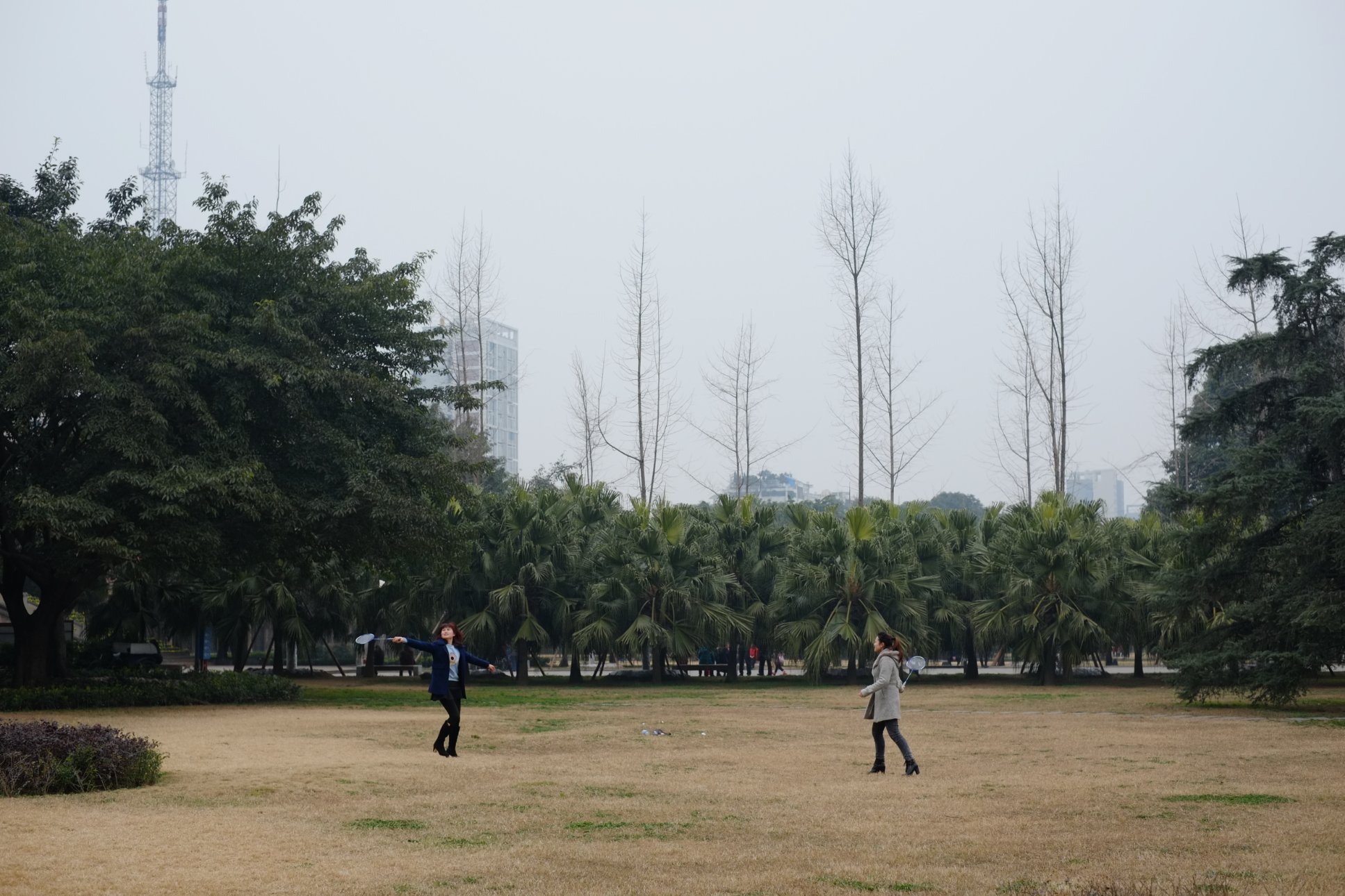 FUJIFILM X-E1 XF35mmF1.4 R