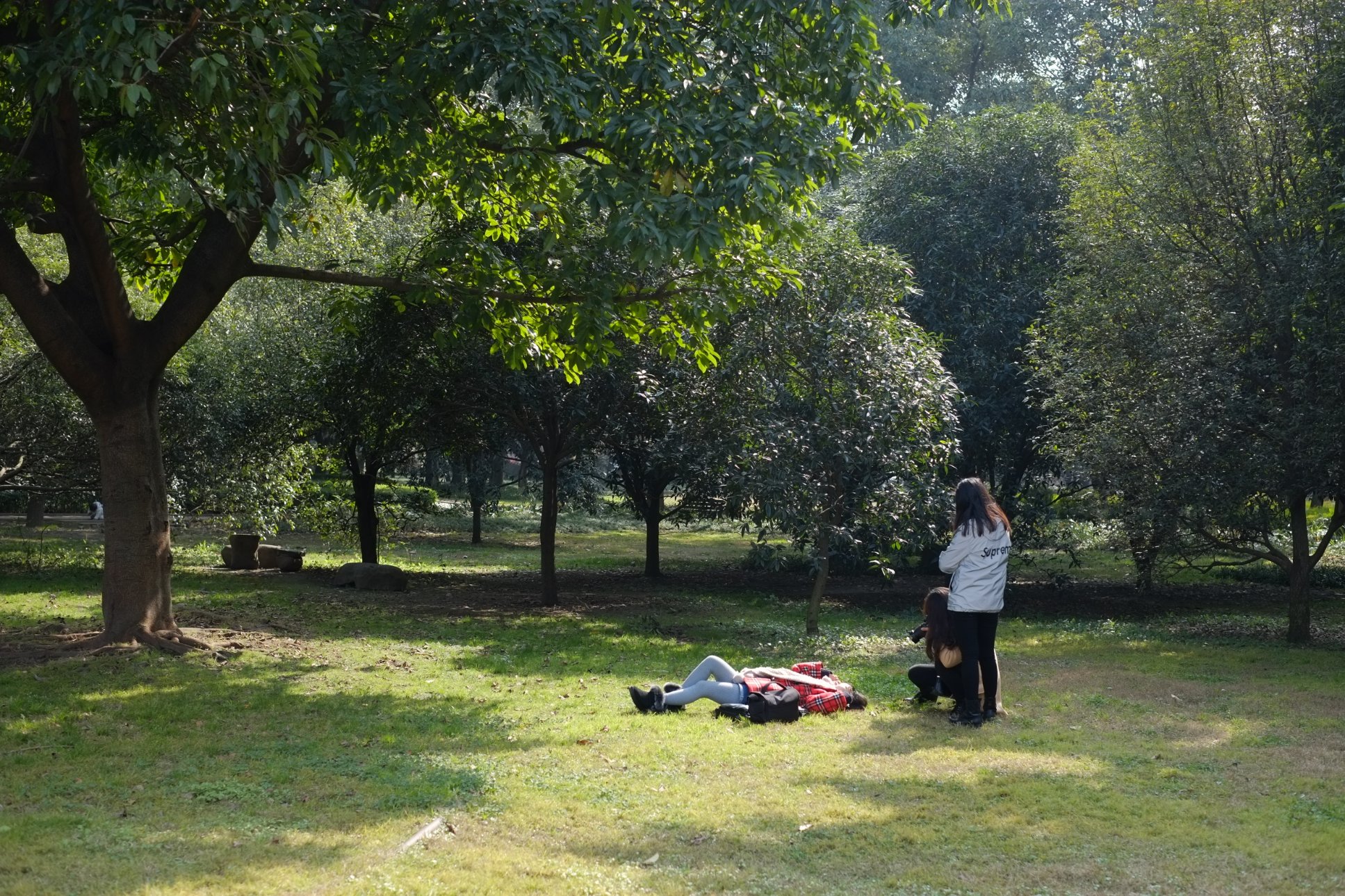 FUJIFILM X-E1 XF35mmF1.4 R