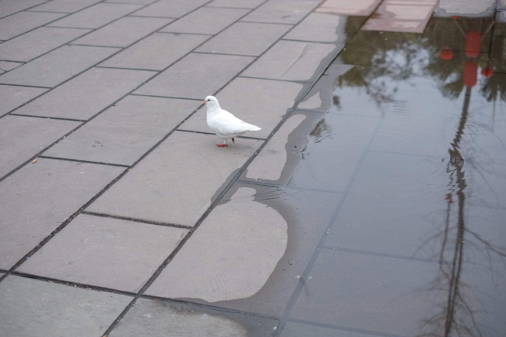 FUJIFILM X-E1 XF35mmF1.4 R