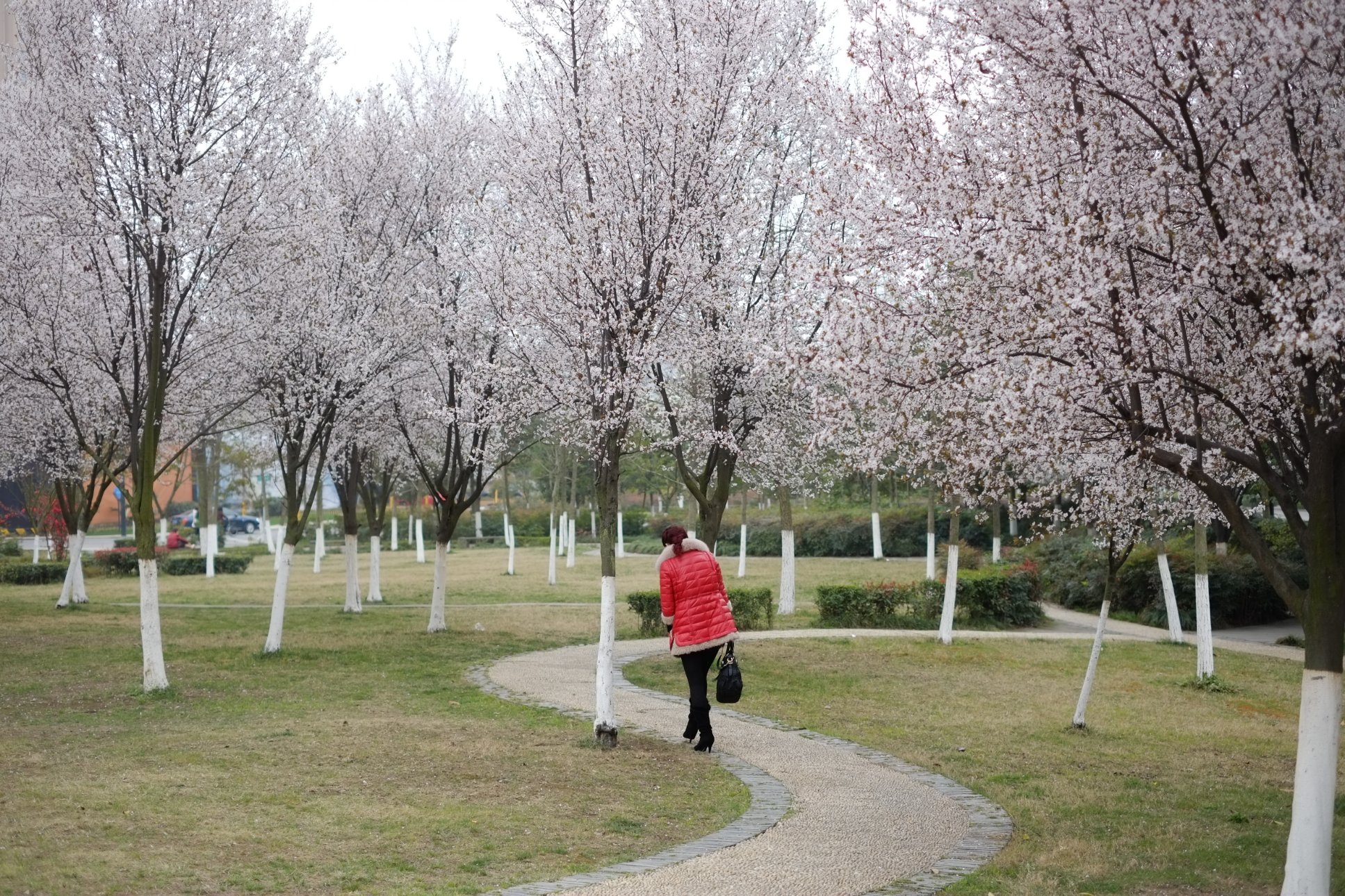 FUJIFILM X-E1 XF35mmF1.4 R