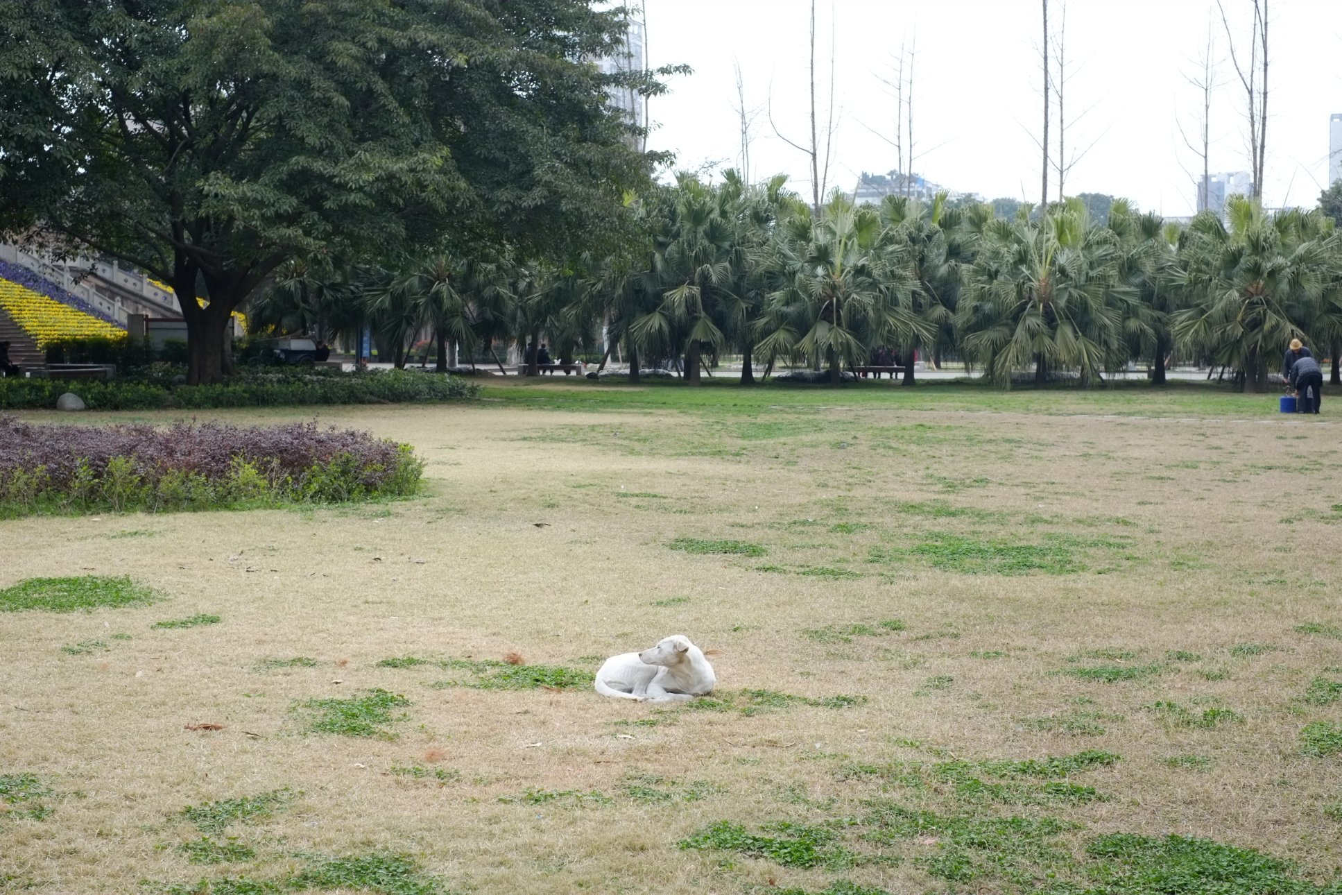FUJIFILM X-E1 XF35mmF1.4 R