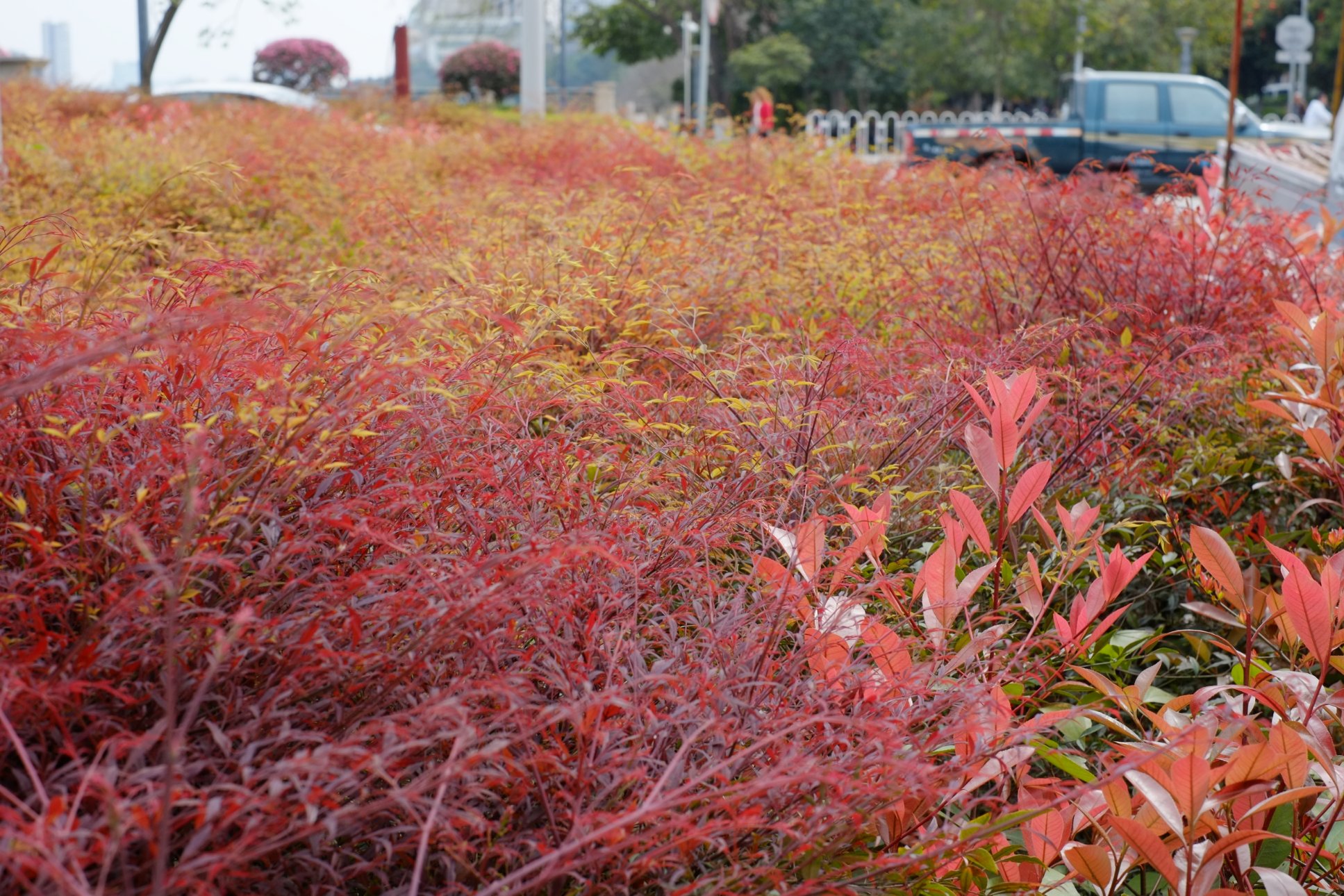 FUJIFILM X-E1 XF35mmF1.4 R