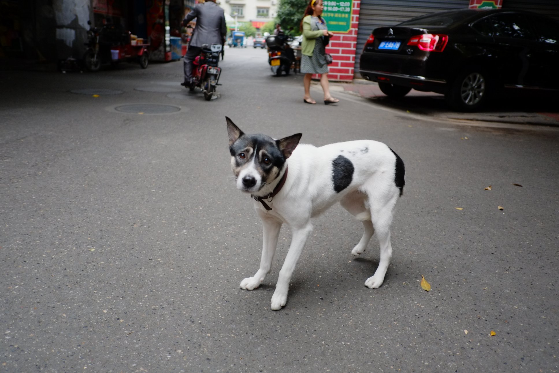 FUJIFILM X-E1 XF18mmF2 R