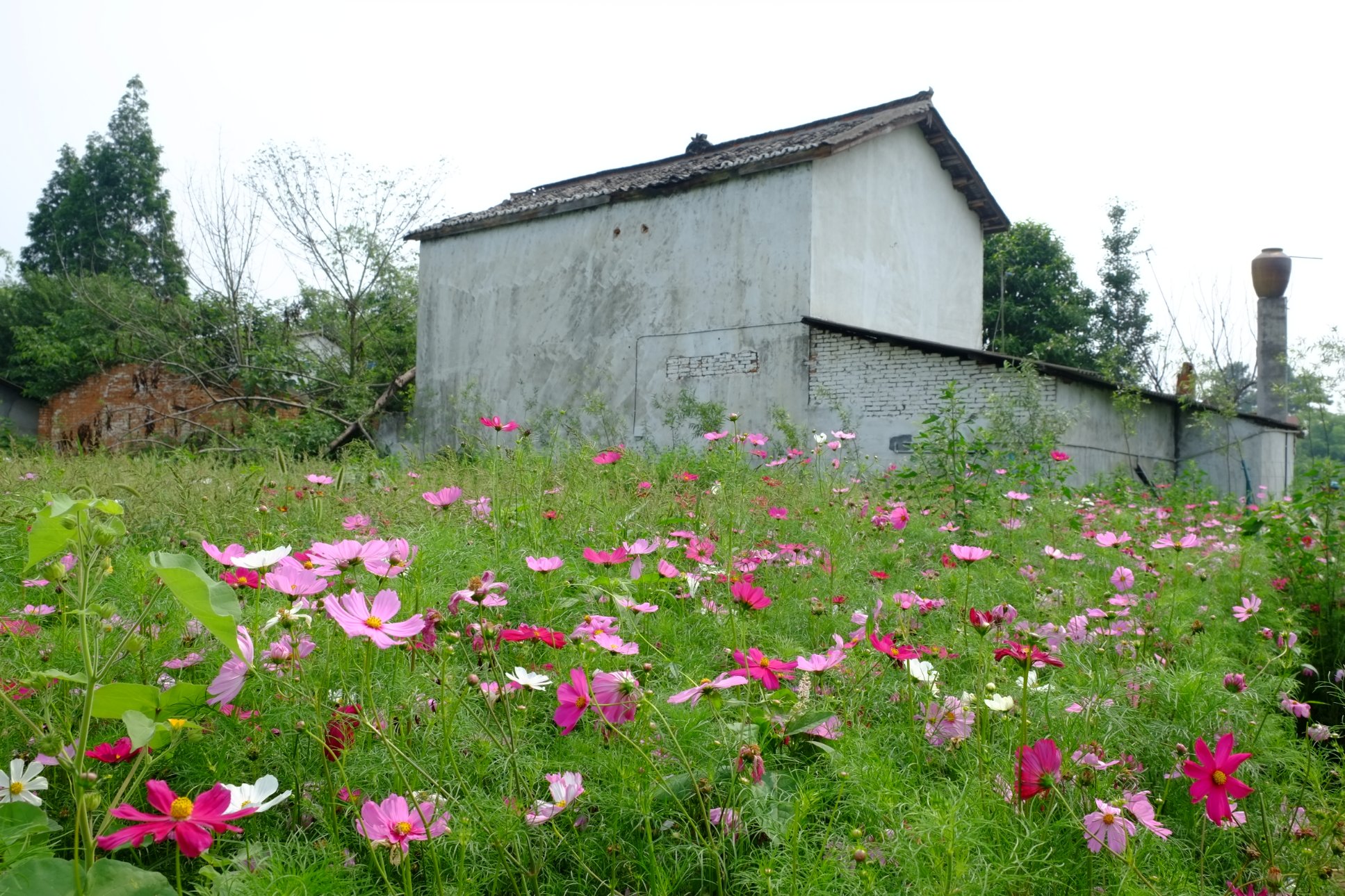 FUJIFILM X-E1 XF18-55mmF2.8-4 R LM OIS