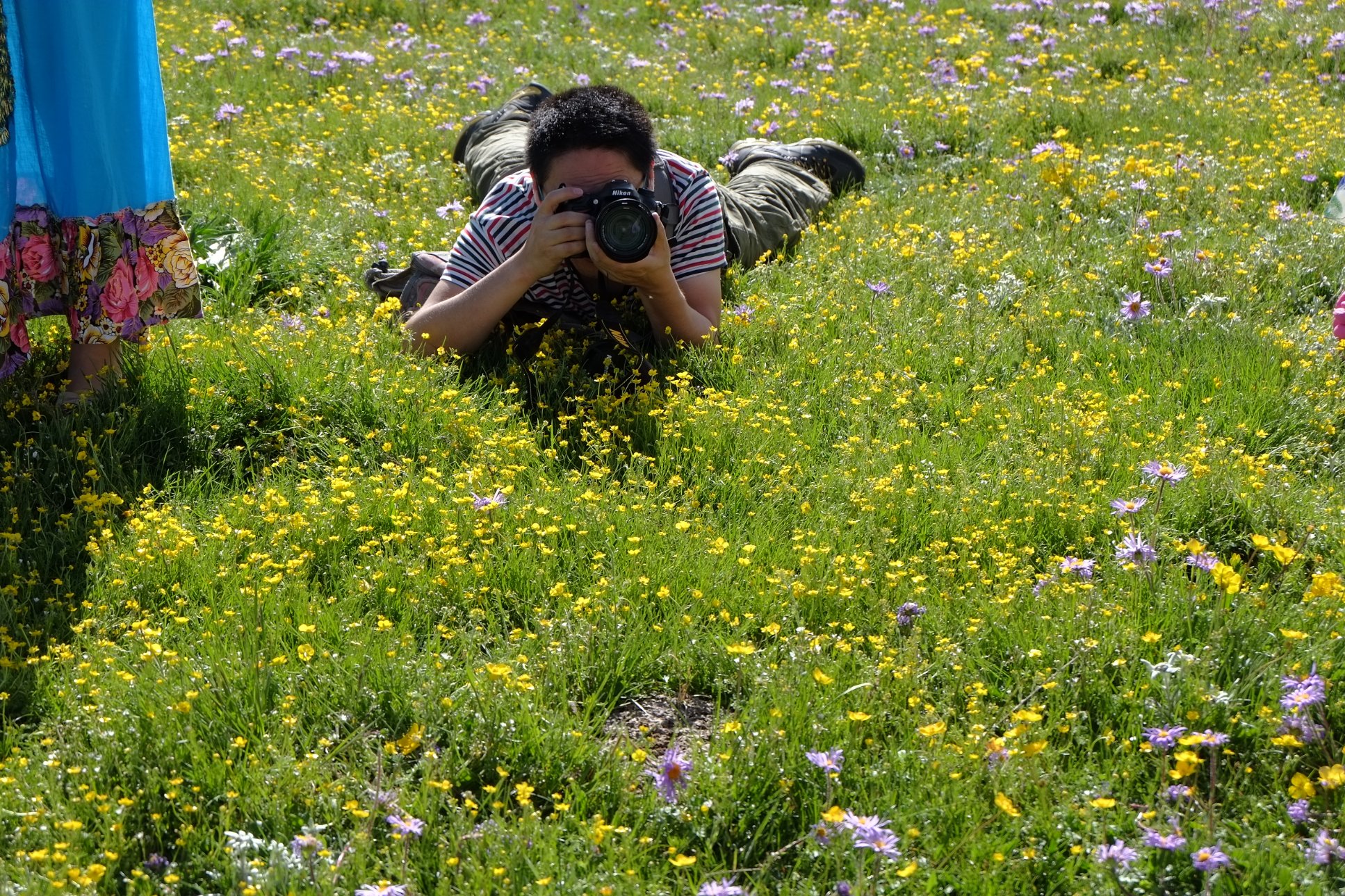 FUJIFILM X-E1 XC16-50mmF3.5-5.6 OIS