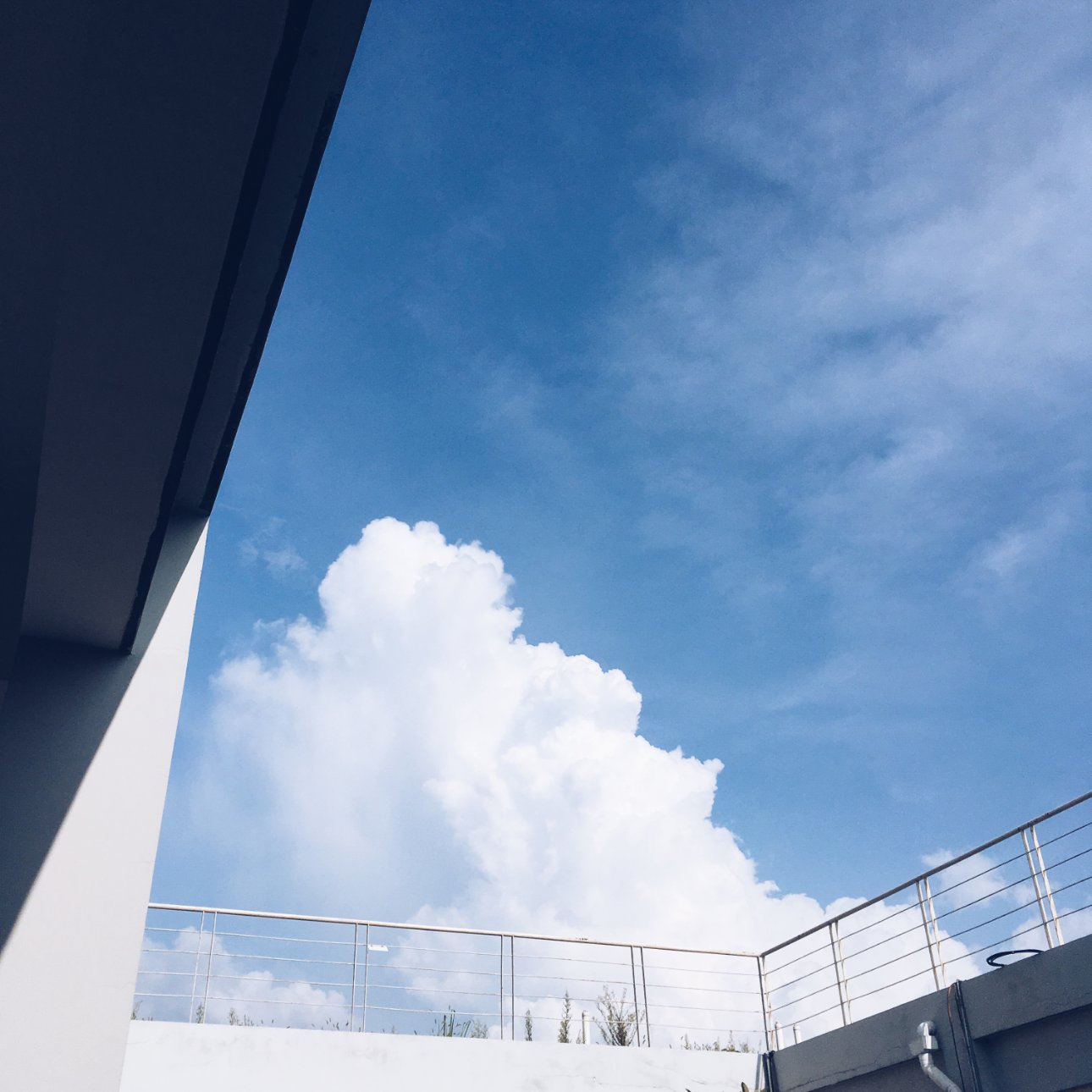 Apple iPhone SE iPhone SE back camera 4.15mm f/2.2