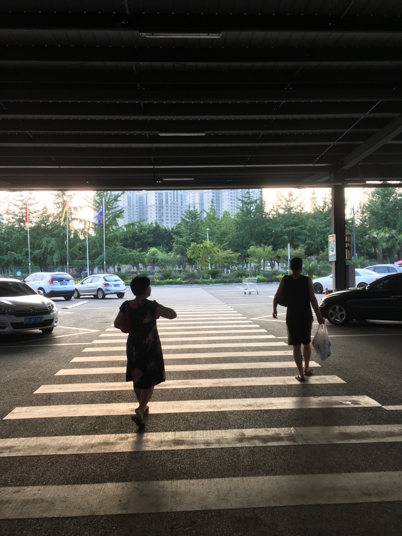 Apple iPhone SE iPhone SE back camera 4.15mm f/2.2