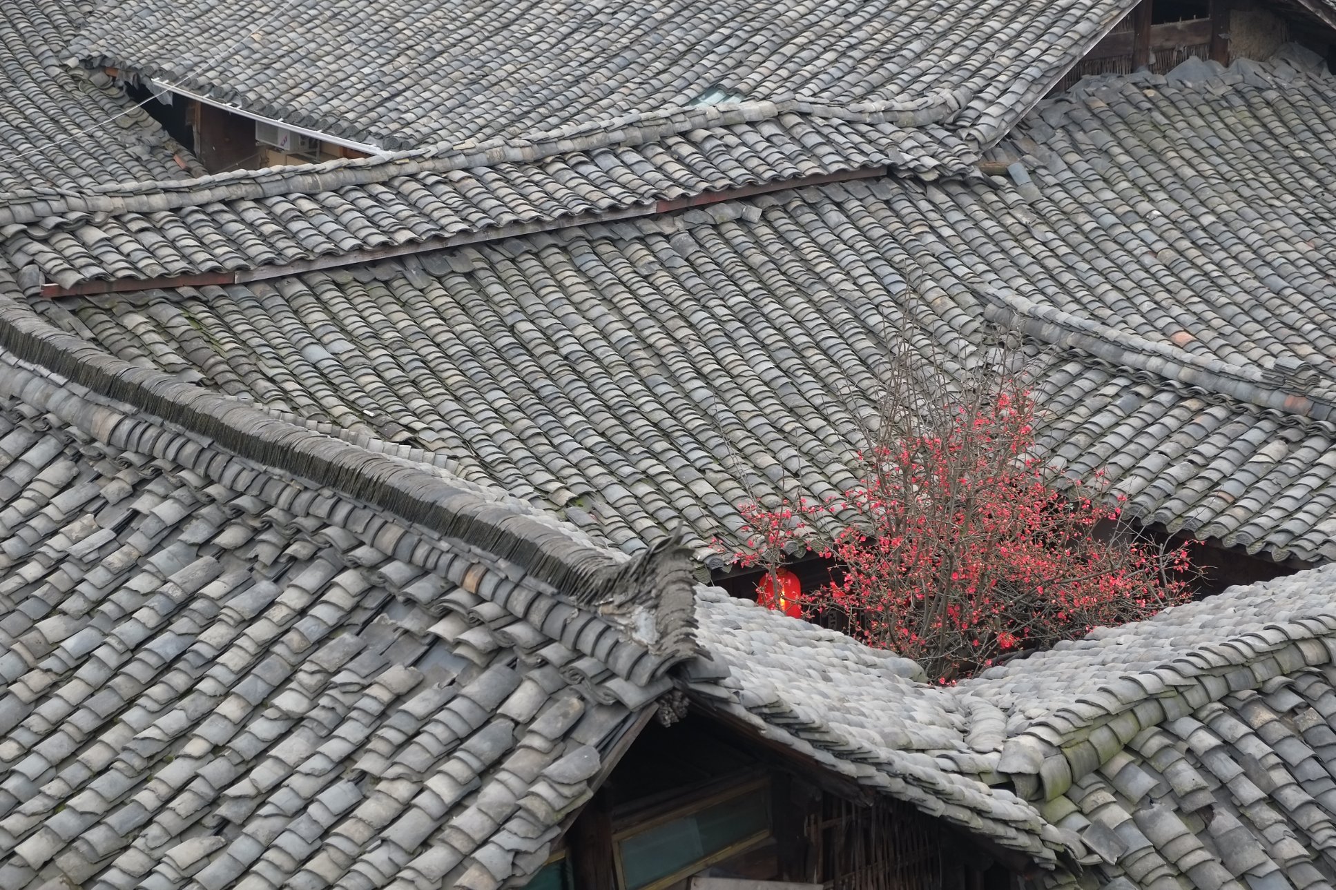 FUJIFILM X-E1 XF18-55mmF2.8-4 R LM OIS