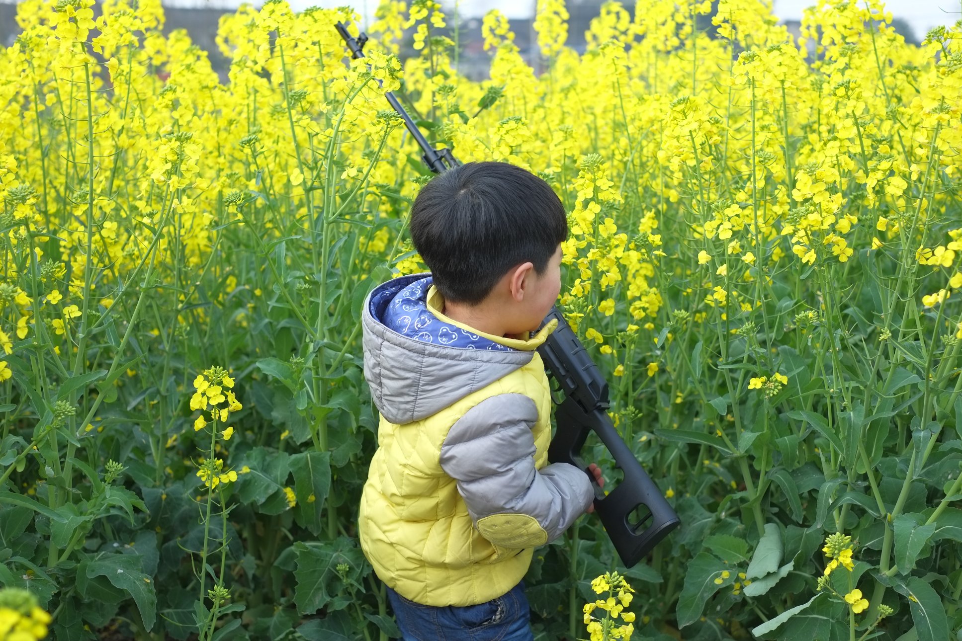 FUJIFILM X-E1 XF35mmF1.4 R