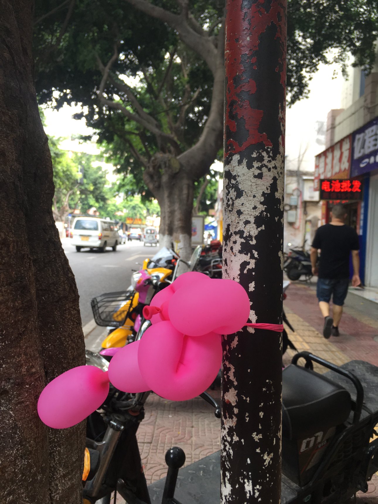 Apple iPhone SE iPhone SE back camera 4.15mm f/2.2