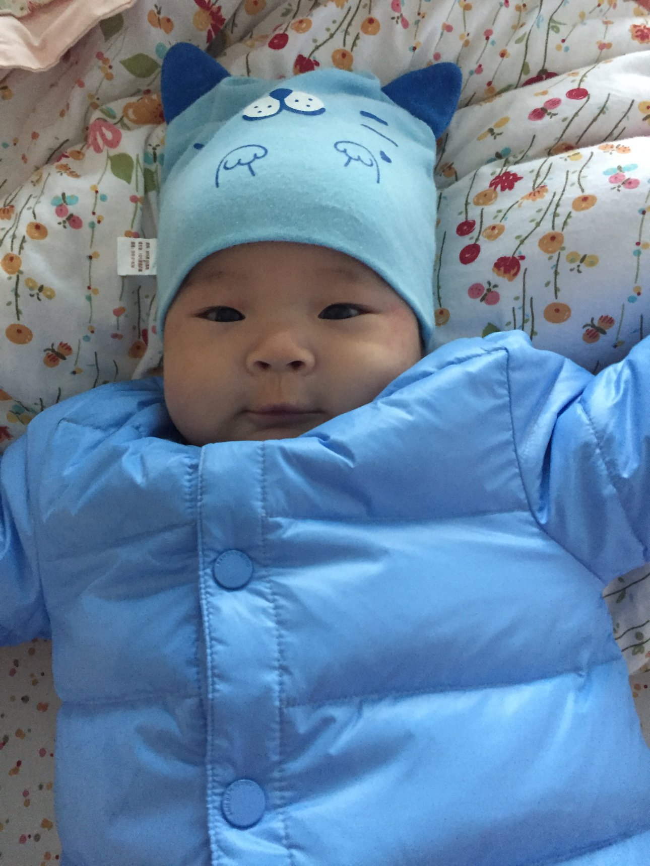 Apple iPhone 6 iPhone 6 back camera 4.15mm f/2.2