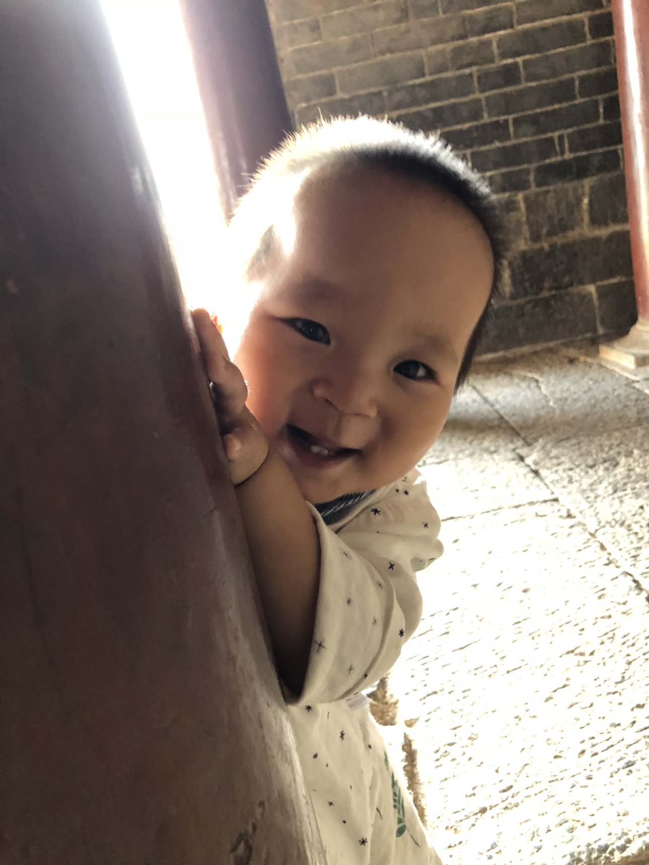 Apple iPhone 8 Plus iPhone 8 Plus back dual camera 3.99mm f/1.8