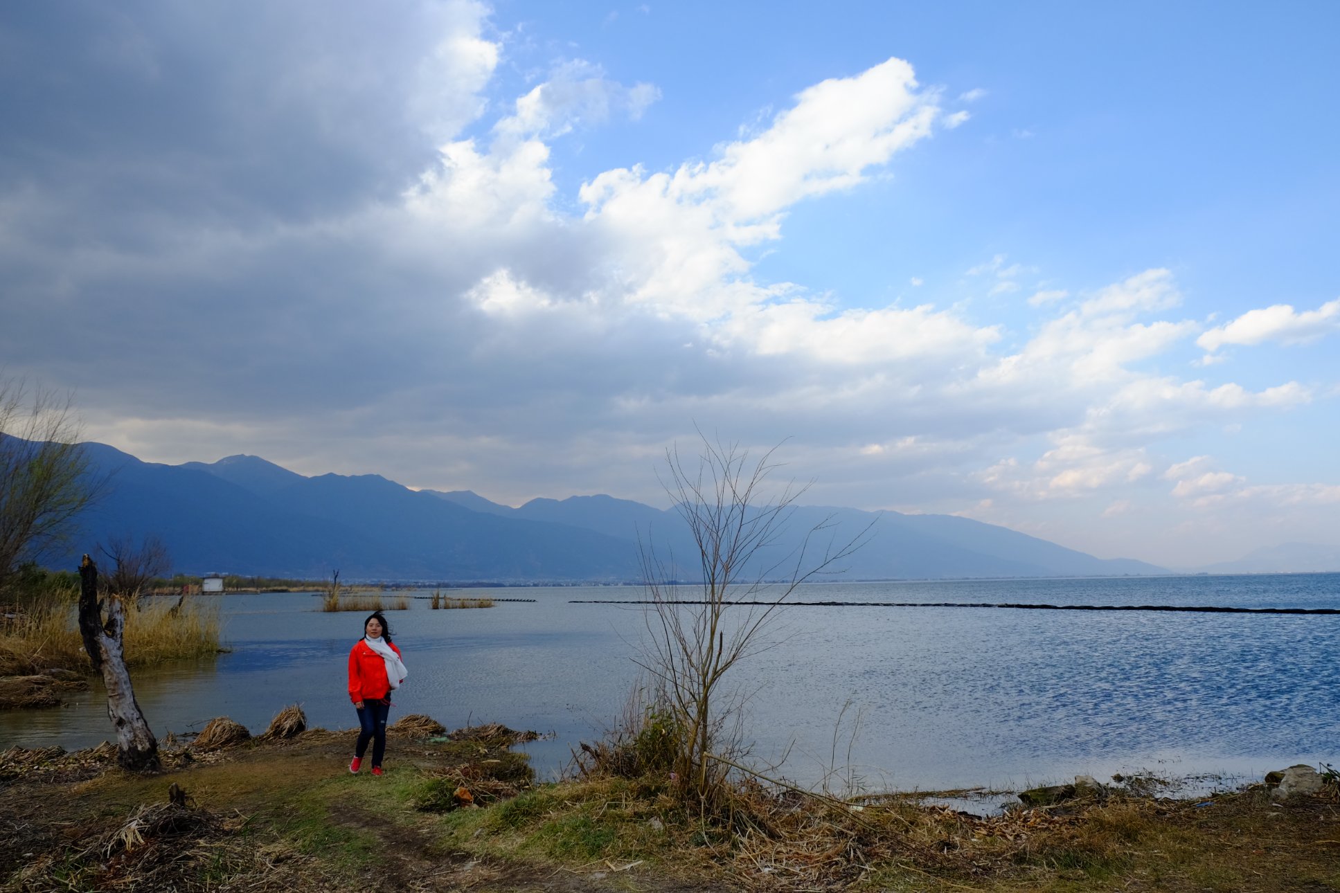 FUJIFILM X-T1 XF18-55mmF2.8-4 R LM OIS