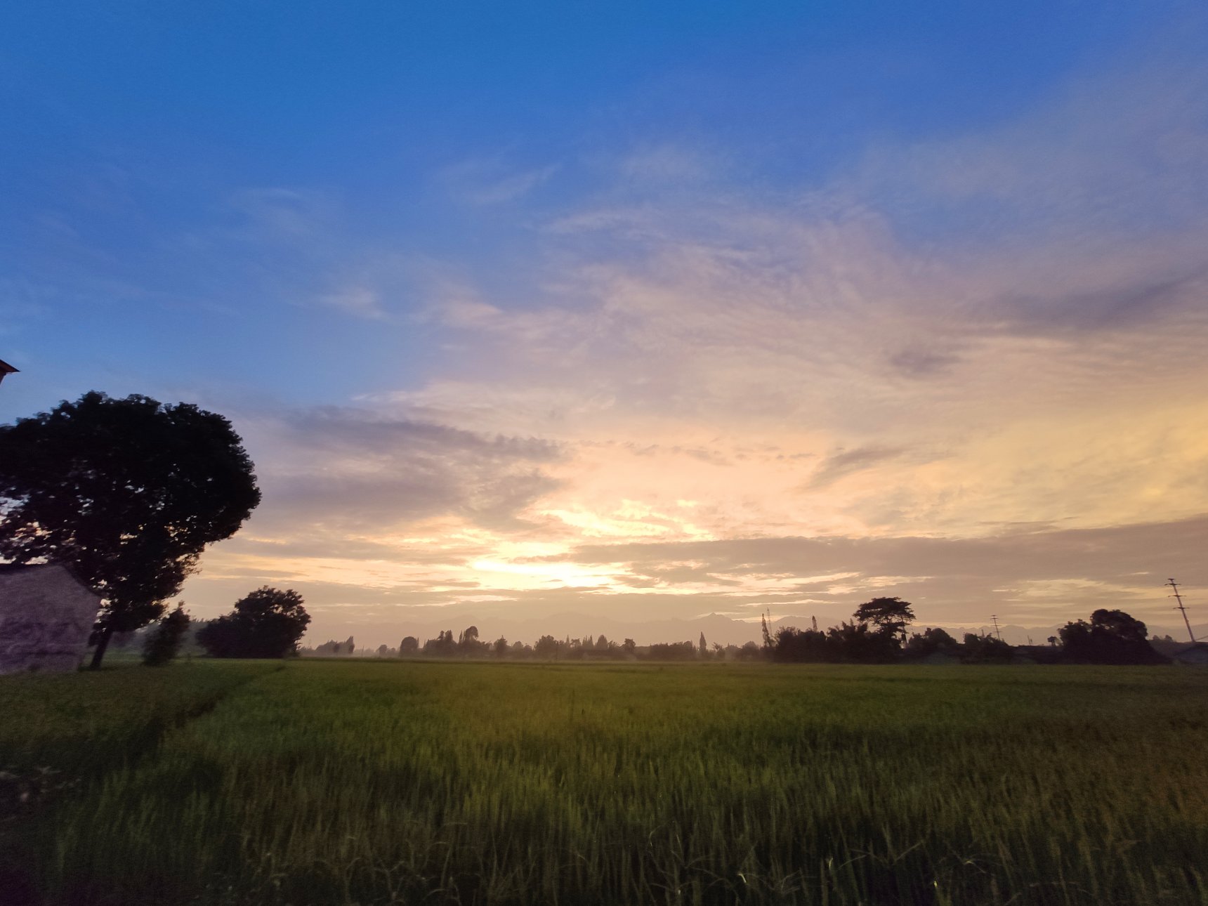 Xiaomi MI 9 SE