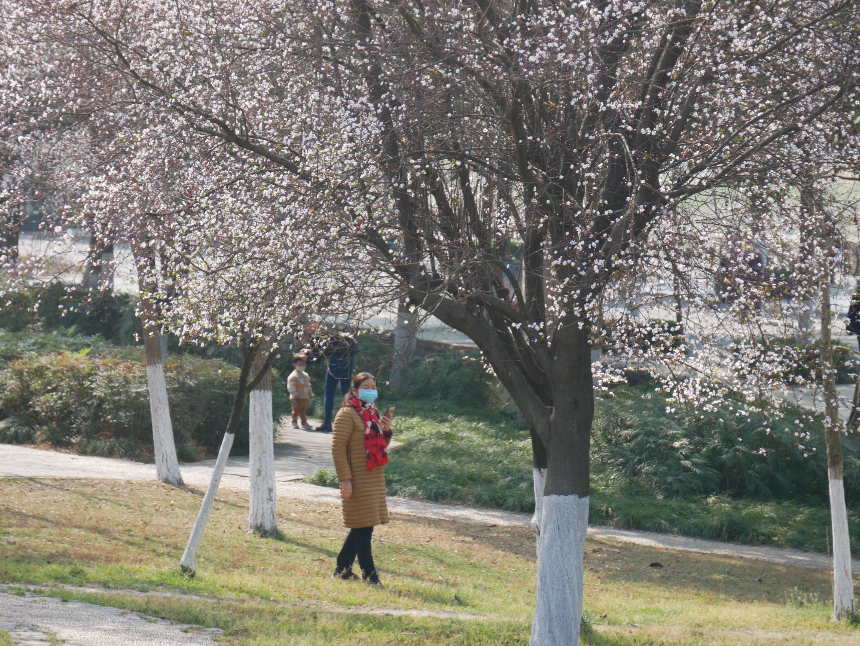 Panasonic DC-GF9