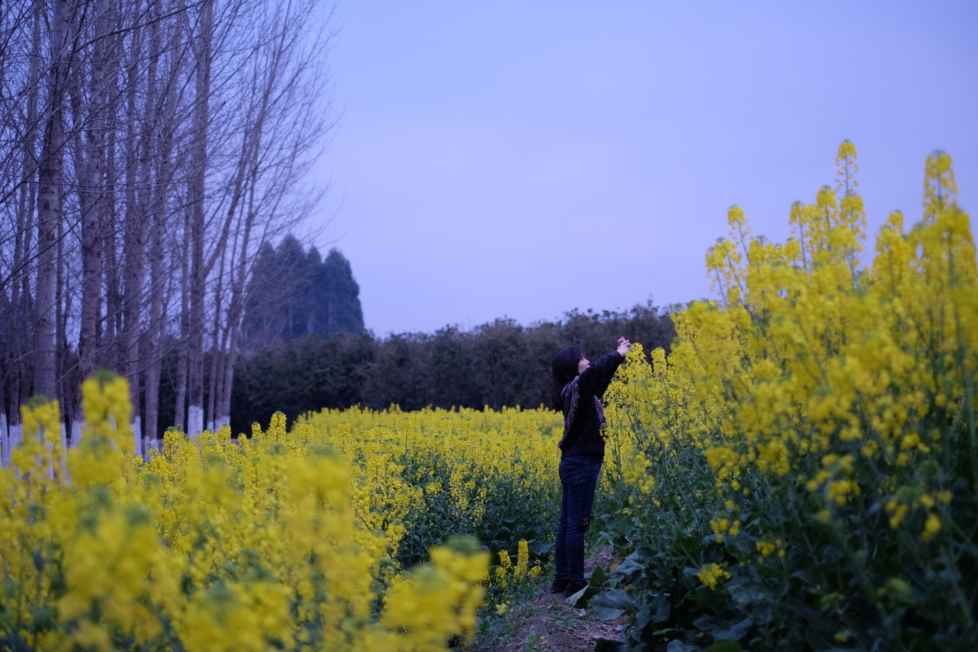 FUJIFILM X-E2 XF35mmF1.4 R