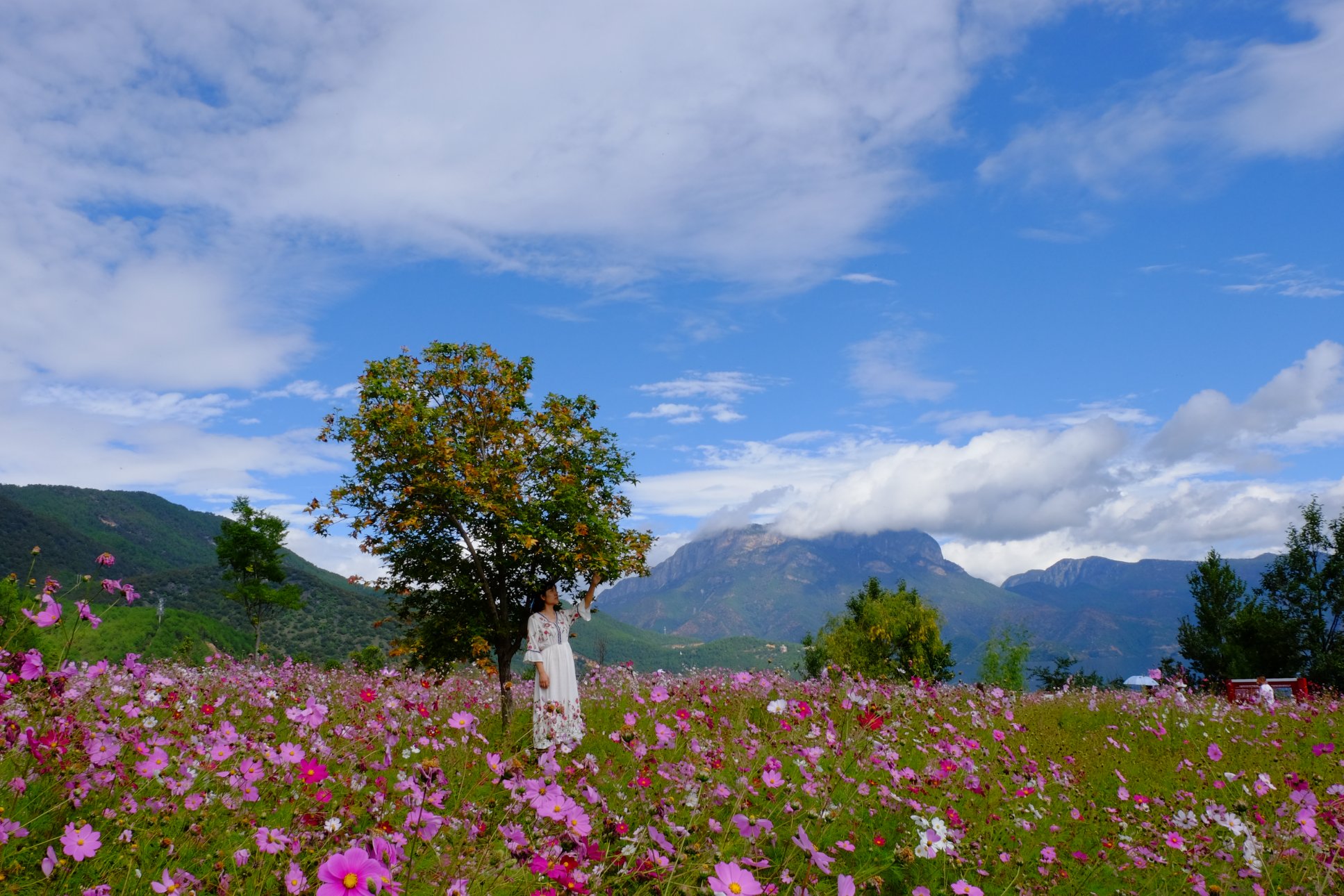 FUJIFILM X-T1 XF18-135mmF3.5-5.6R LM OIS WR