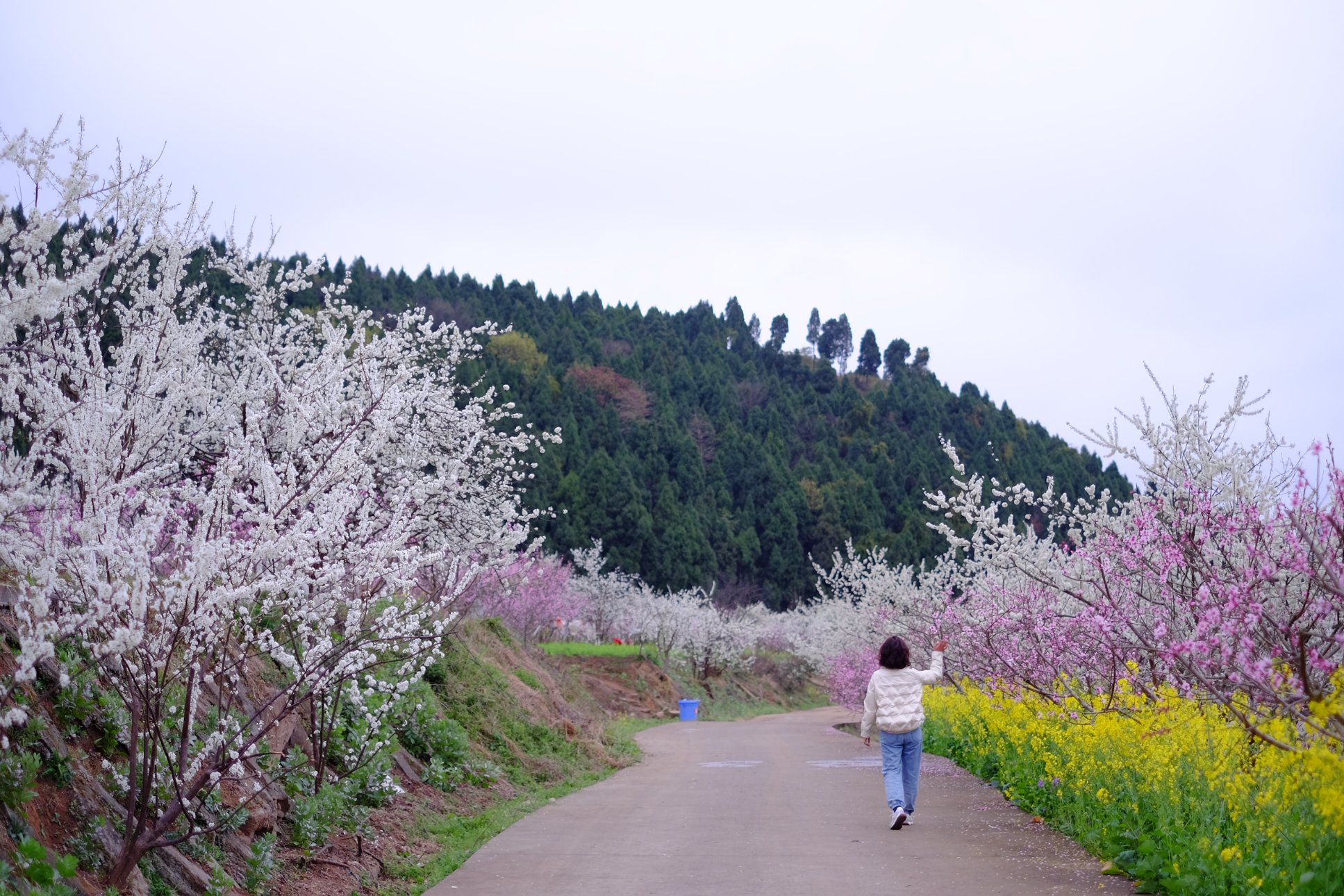 FUJIFILM X-E2 XF35mmF1.4 R