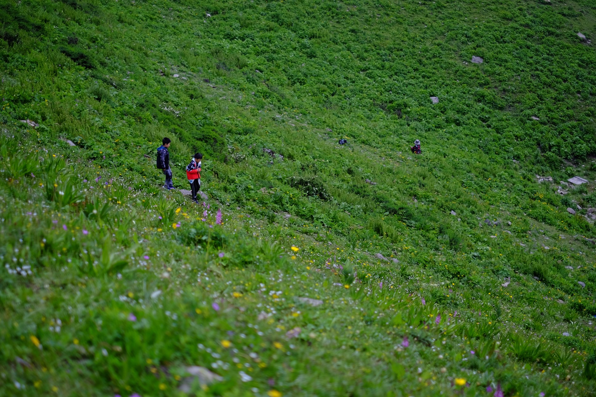 FUJIFILM X-E2 XF35mmF1.4 R