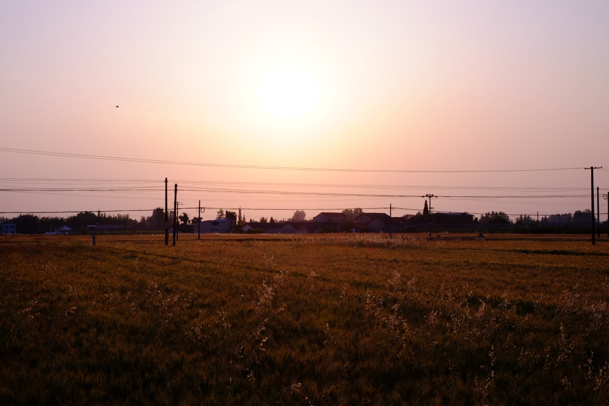 FUJIFILM X-E2 XF35mmF1.4 R