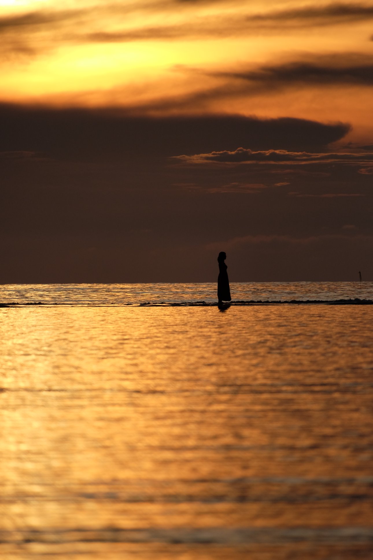 FUJIFILM X-T1 18-300mm F/3.5-6.3 DiIII-A VC VXD B061X
