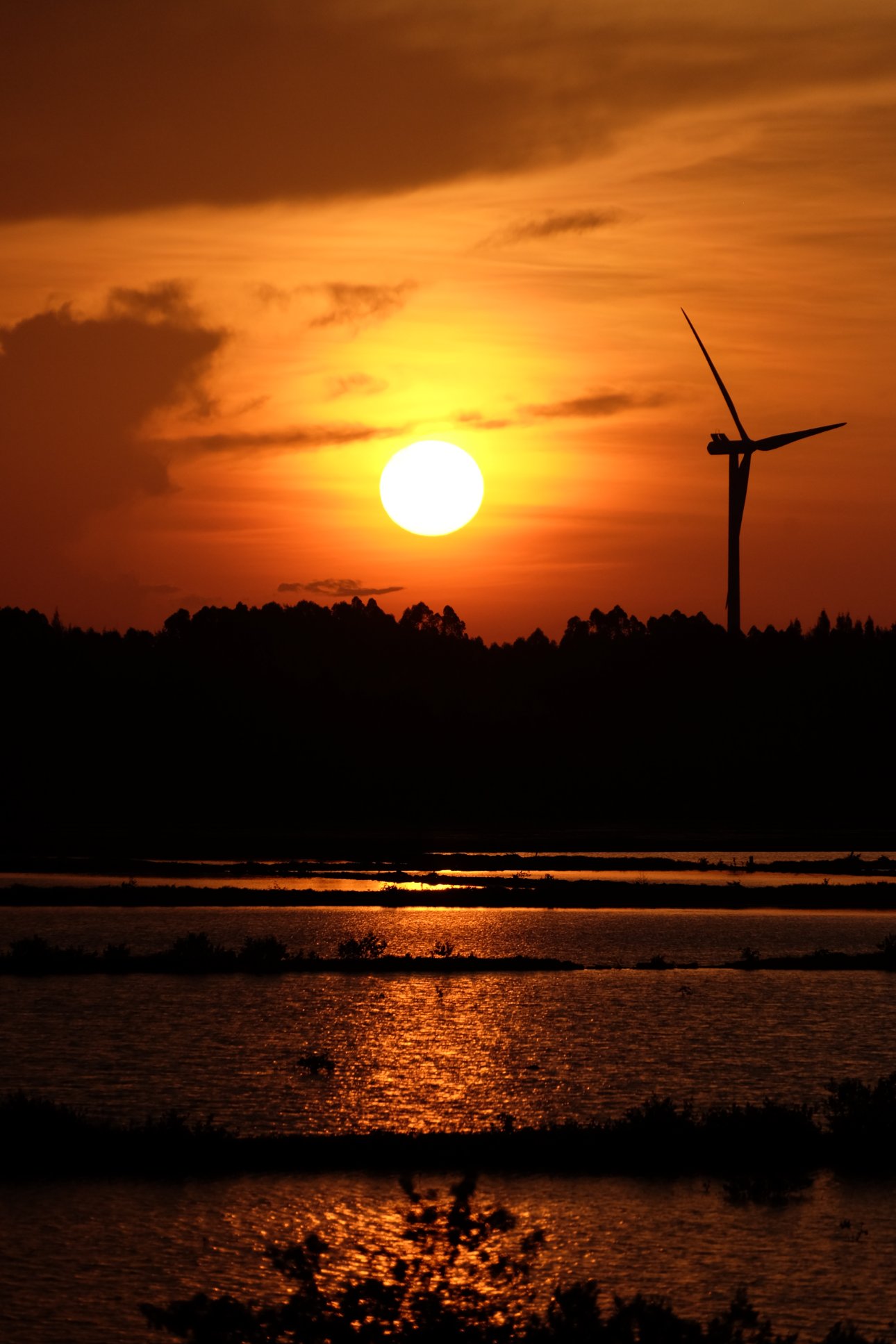 FUJIFILM X-T1 18-300mm F/3.5-6.3 DiIII-A VC VXD B061X