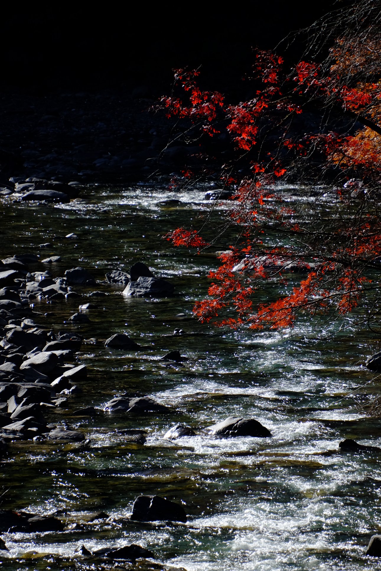 FUJIFILM X-T1 18-300mm F/3.5-6.3 DiIII-A VC VXD B061X