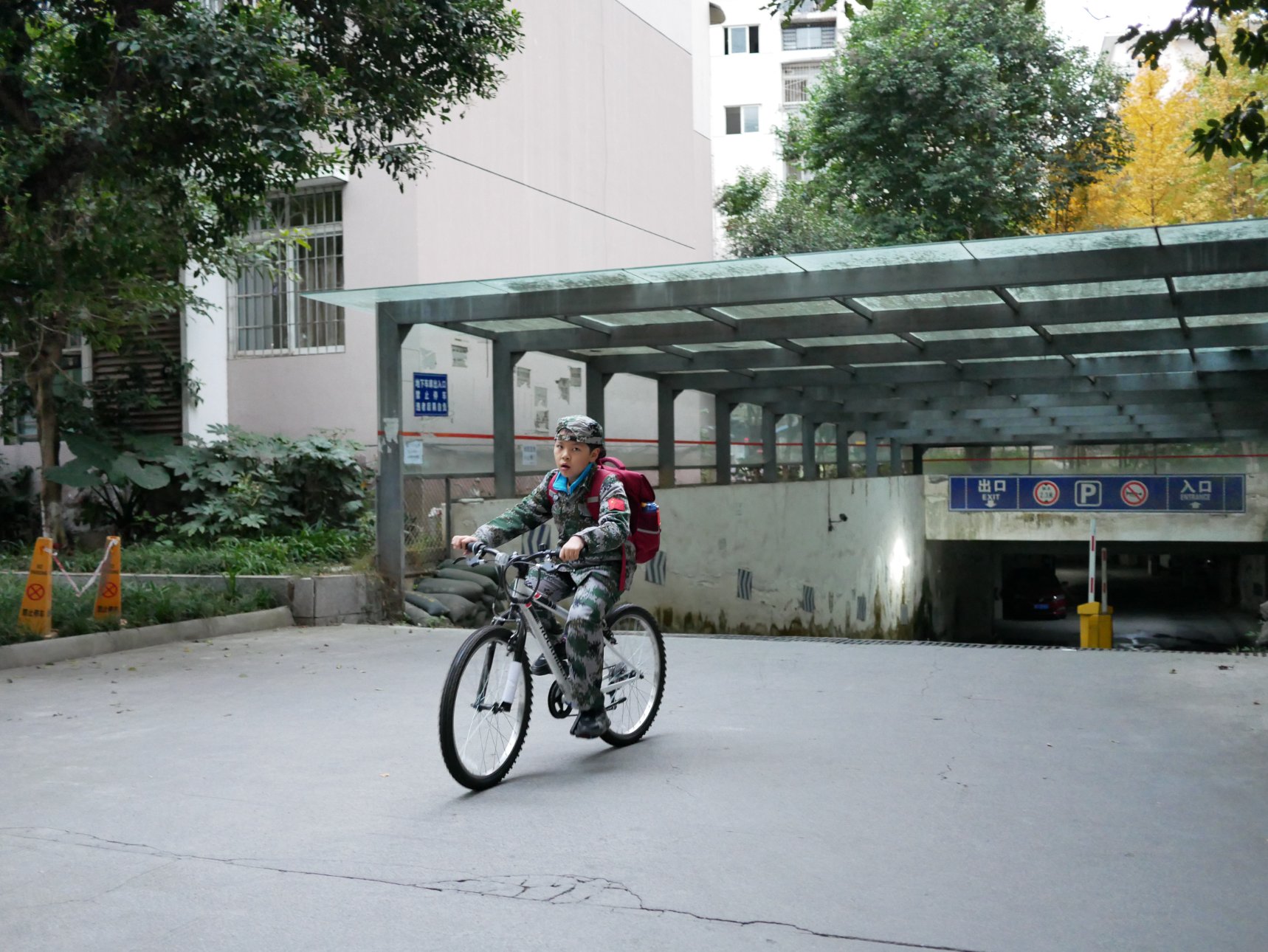 Panasonic DC-GF10