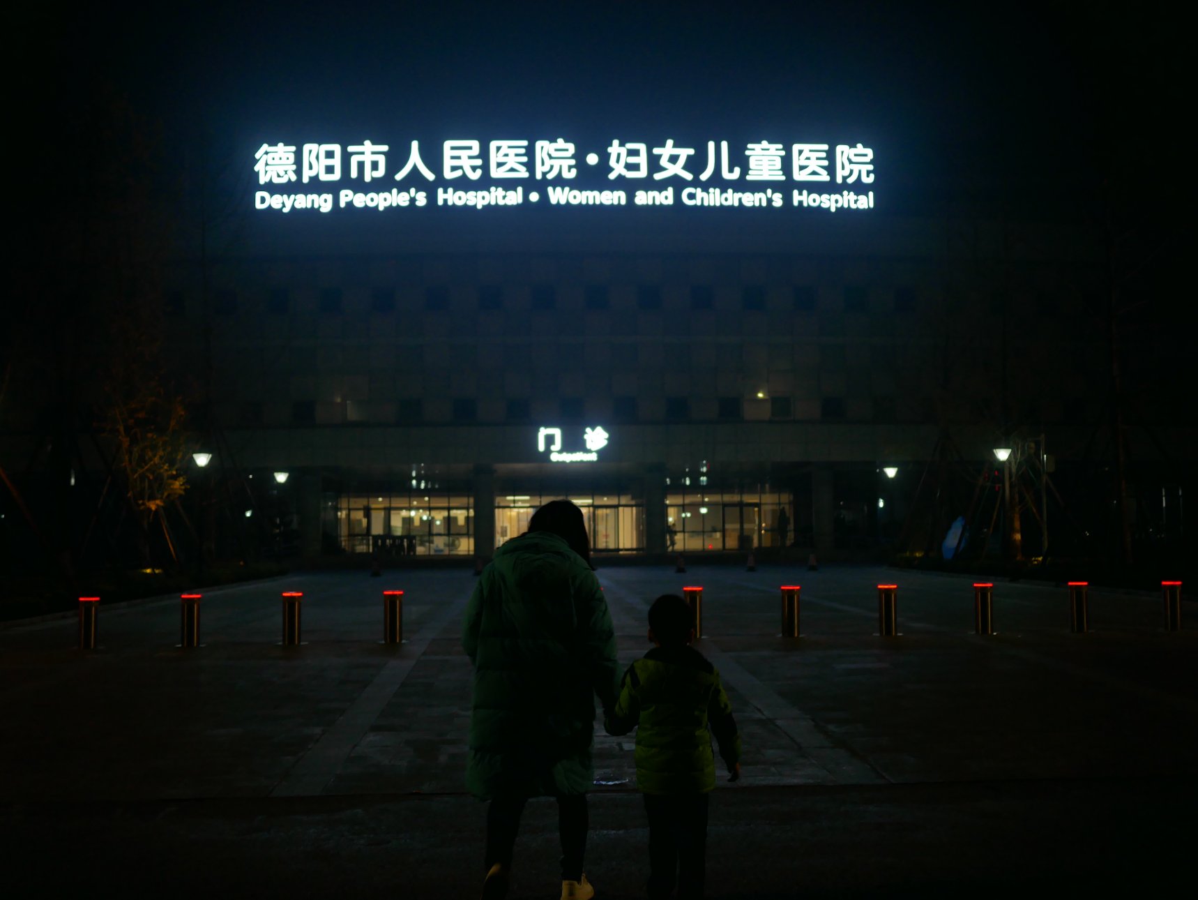 Panasonic DC-GF10