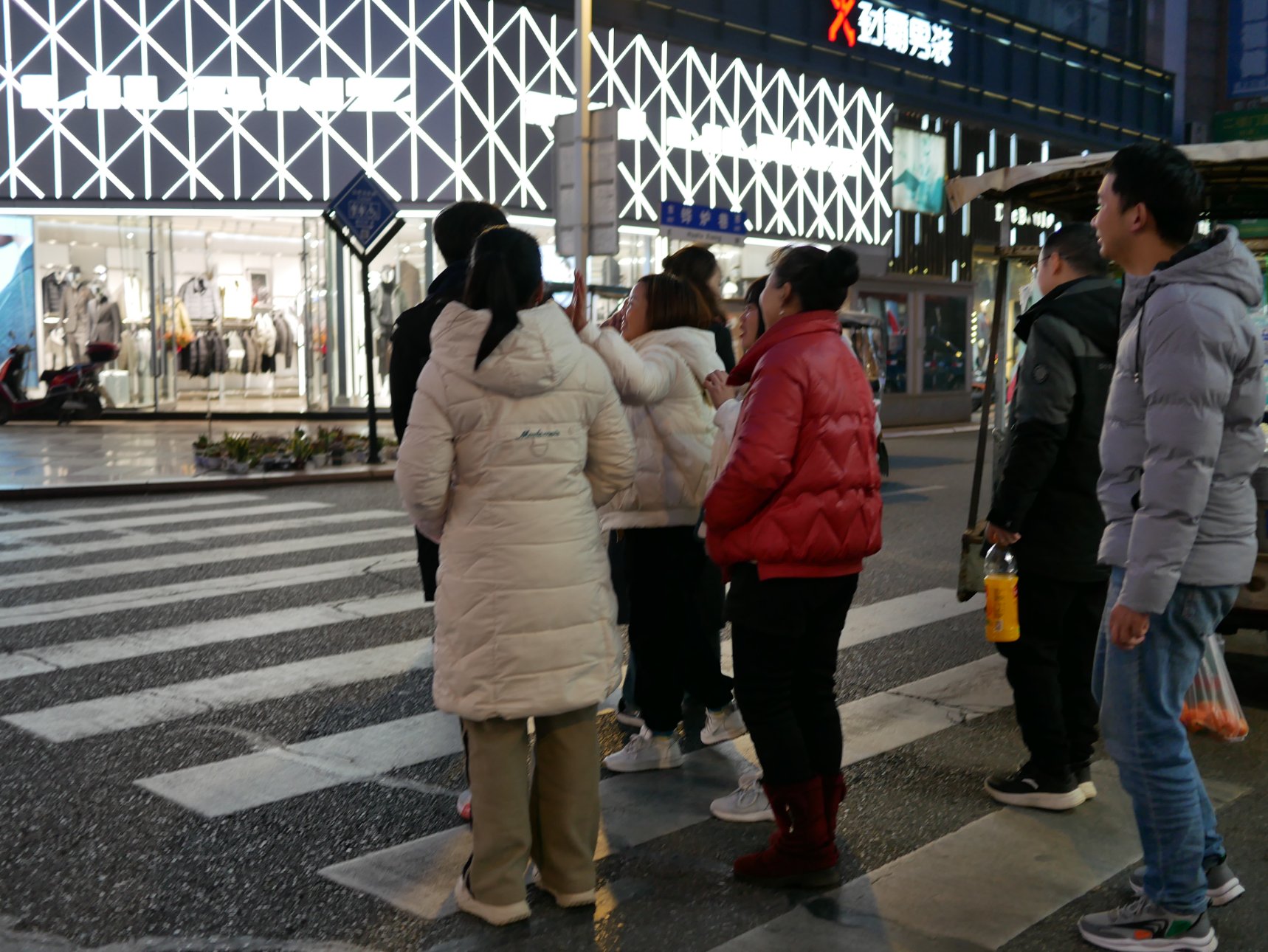 Panasonic DC-GF10